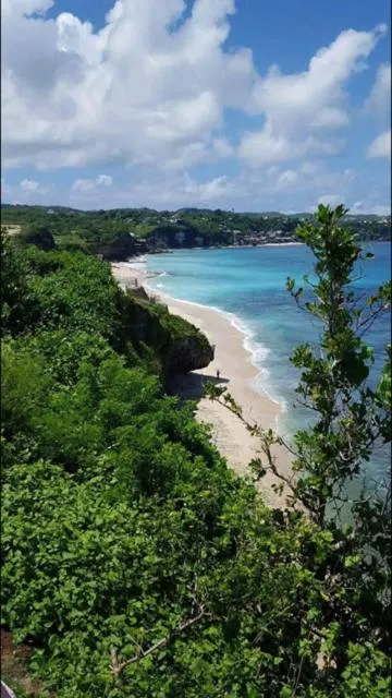 Natural landscape in Tanjung Sari Inn