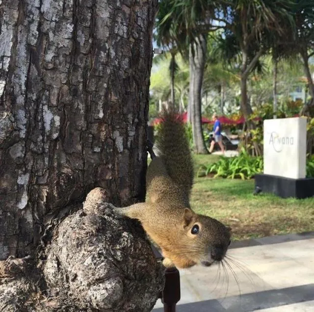 Day in Tanjung Sari Inn