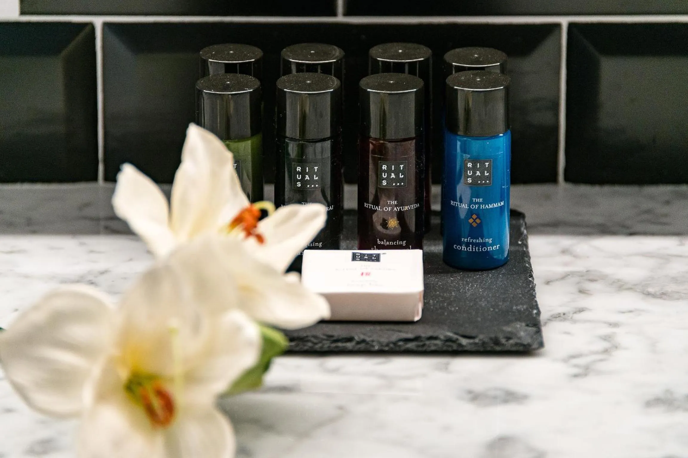 Area and facilities in Divina Suites Hotel Boutique - Adults only