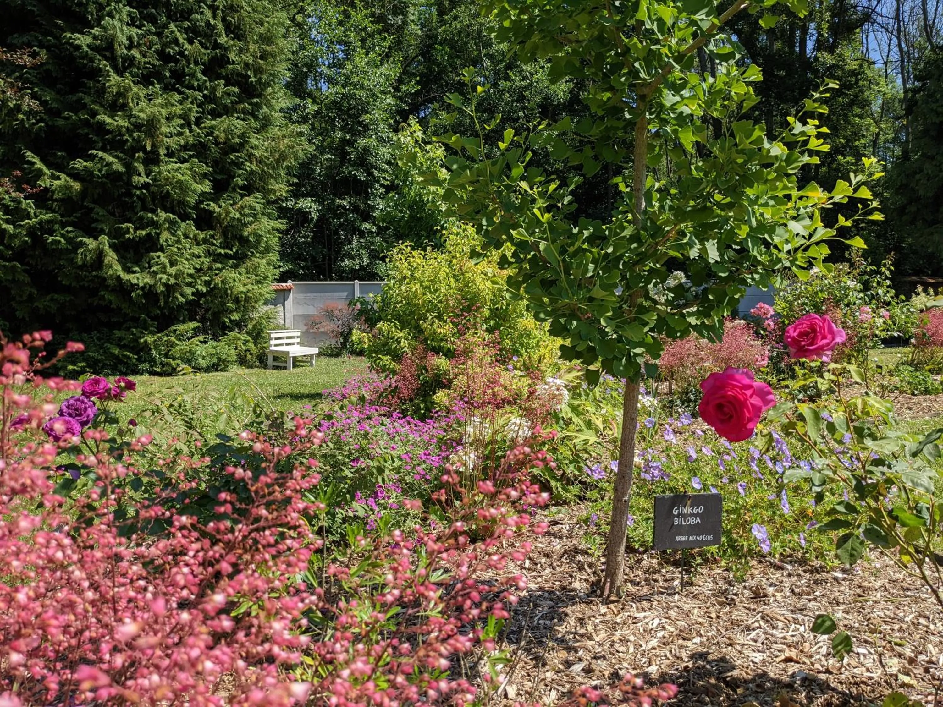 Property building in La Closerie