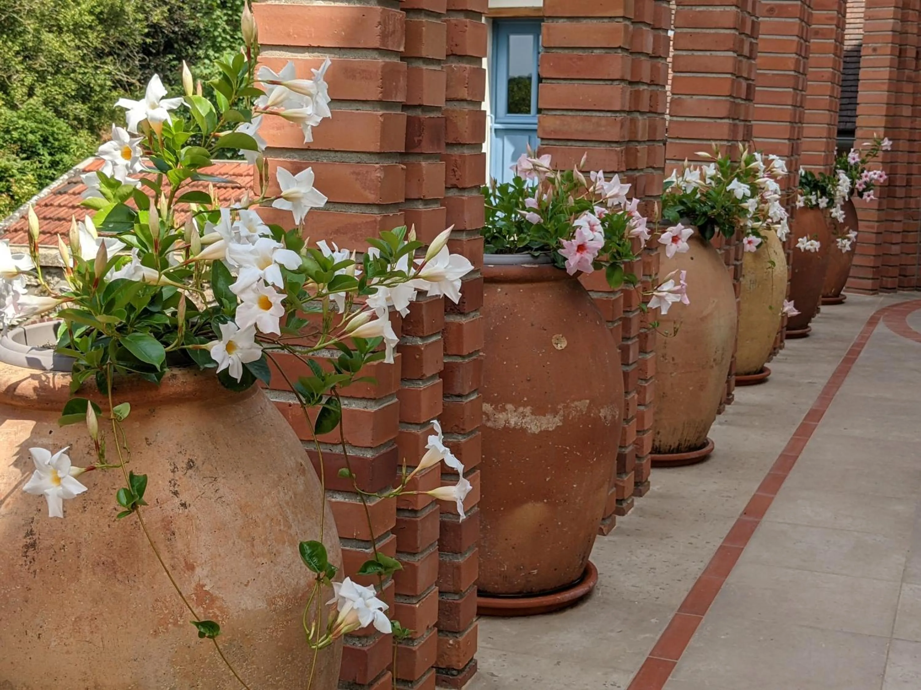 Patio in La Closerie