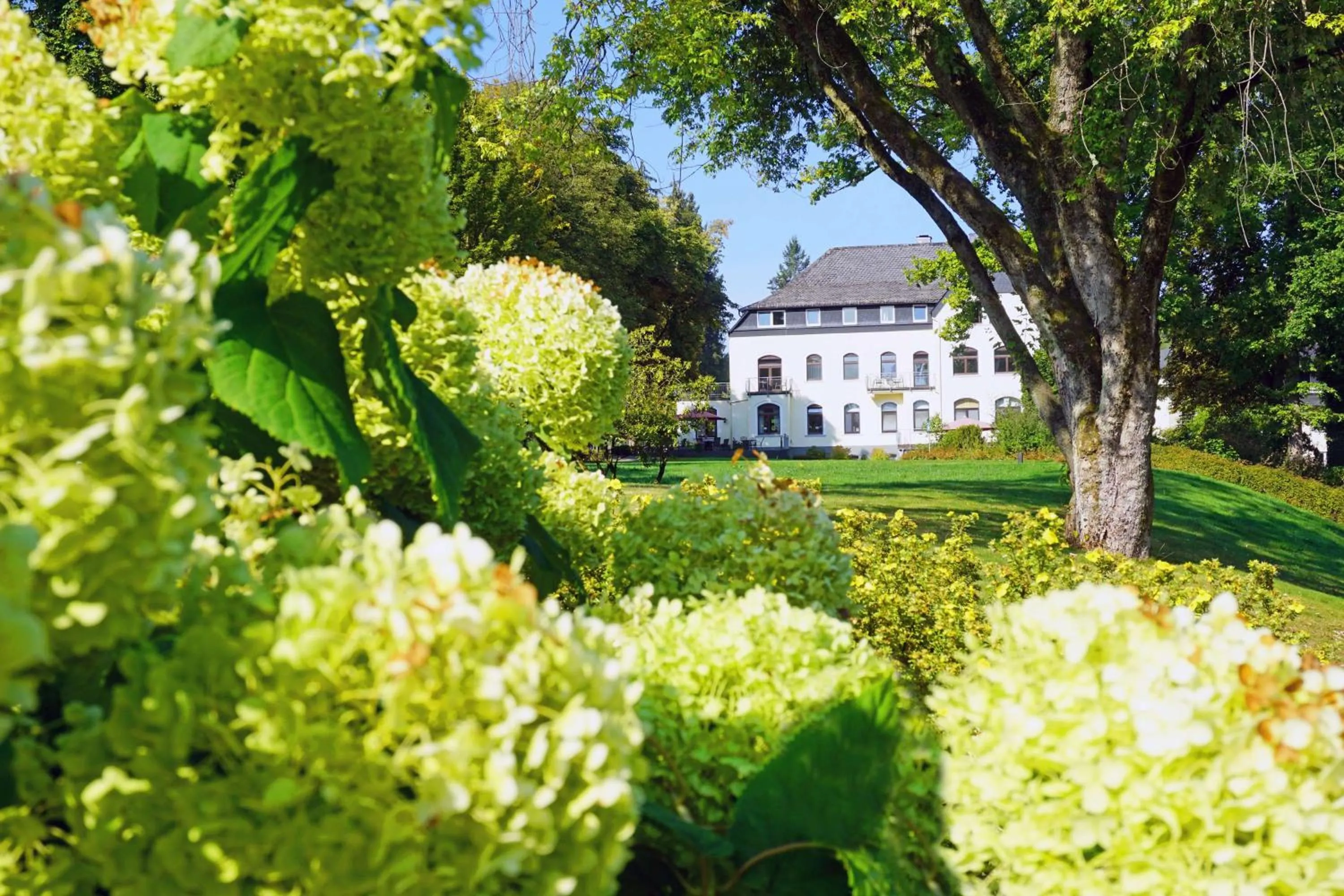 Natural landscape in Dorint Parkhotel Siegen