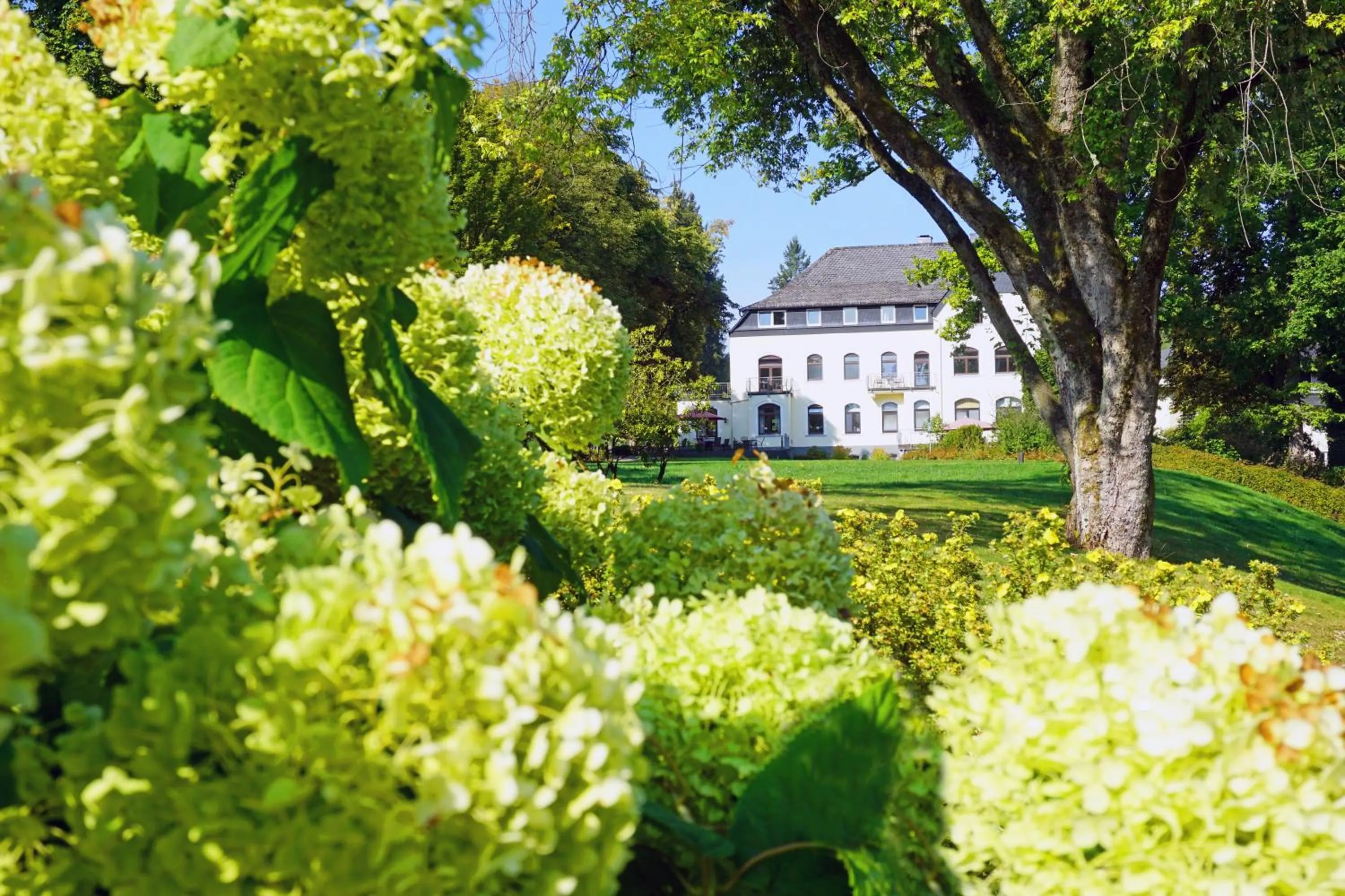 Property building in Dorint Parkhotel Siegen