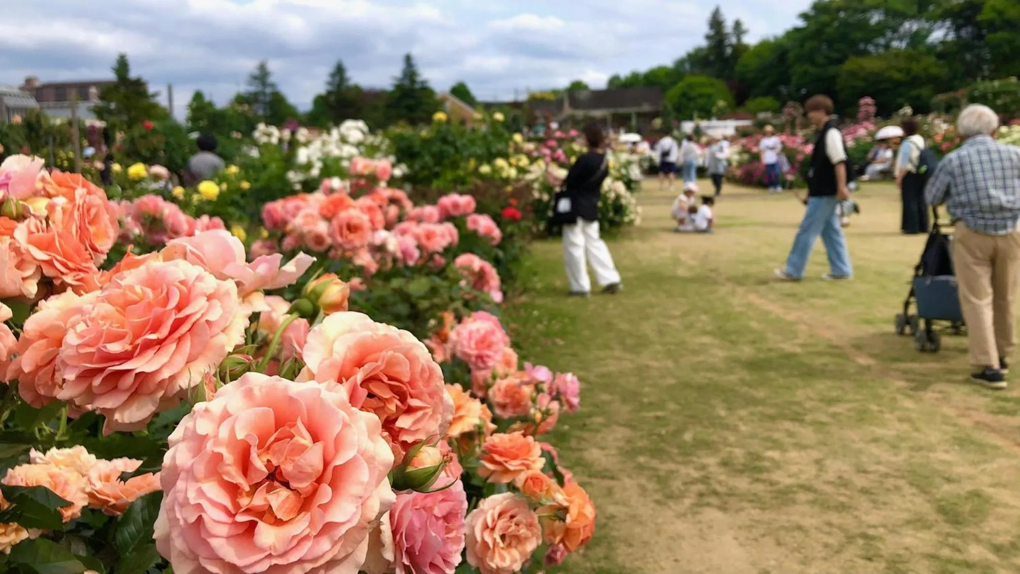 Nearby landmark in Vessel Inn Yachiyo Katsudai Station