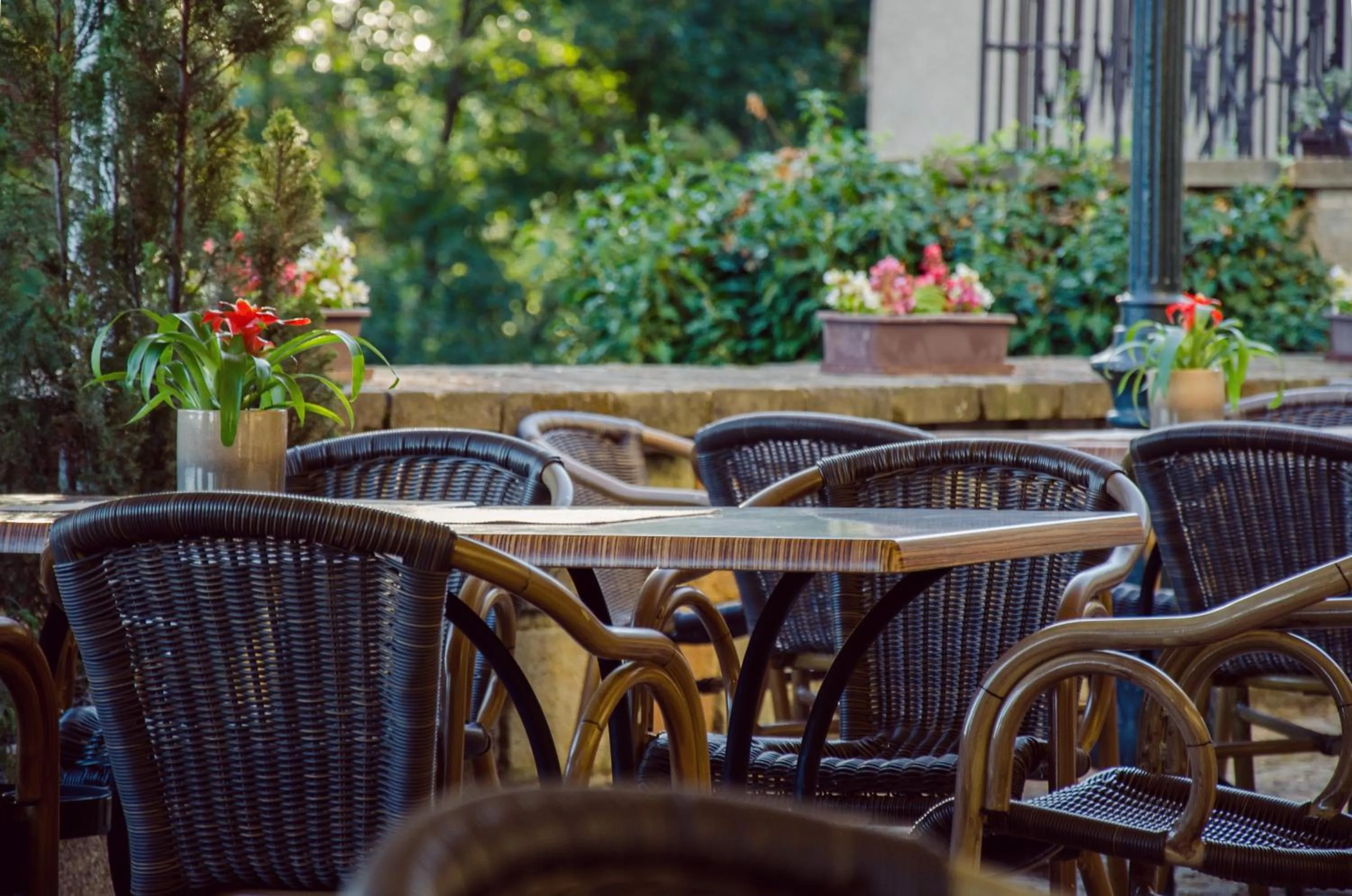 Restaurant/places to eat in Hotel Fortna