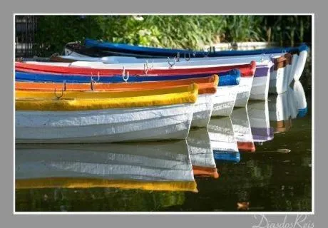 Area and facilities in D. Carlos Residencial