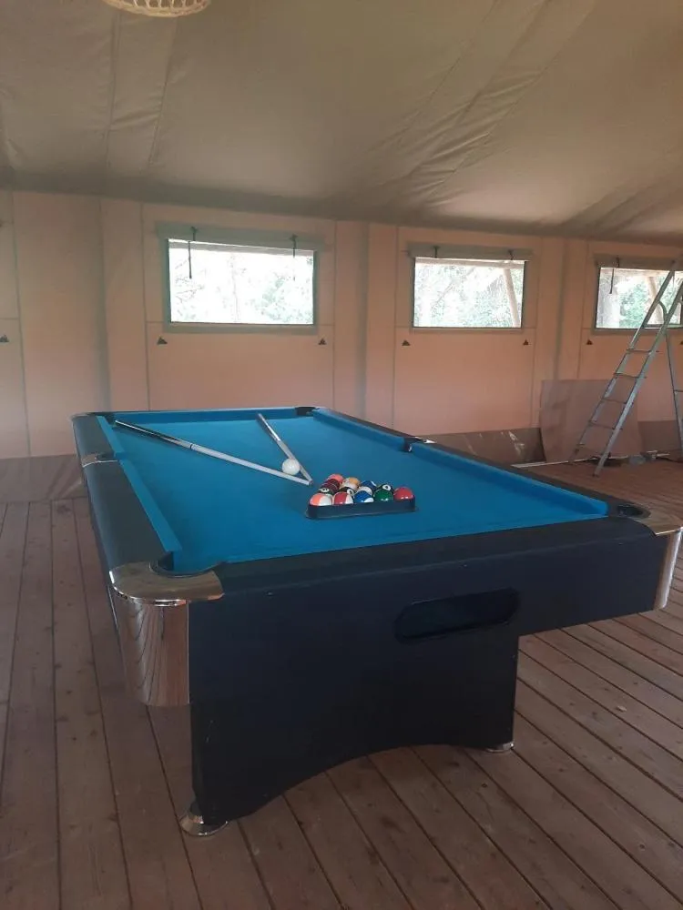 Billiard in Domaine La Sauzette