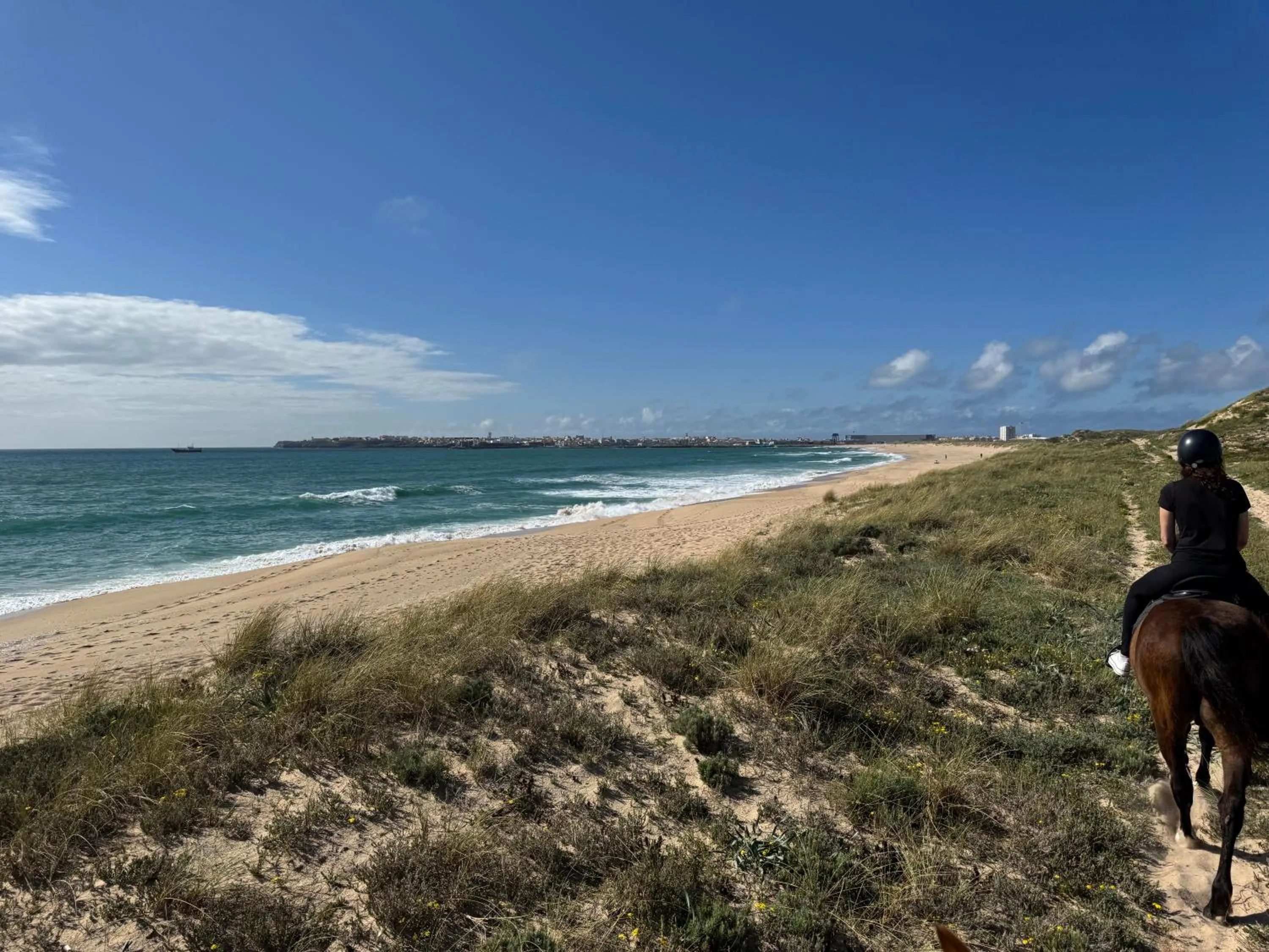 Natural landscape in Silver Seahorse Garden Retreat
