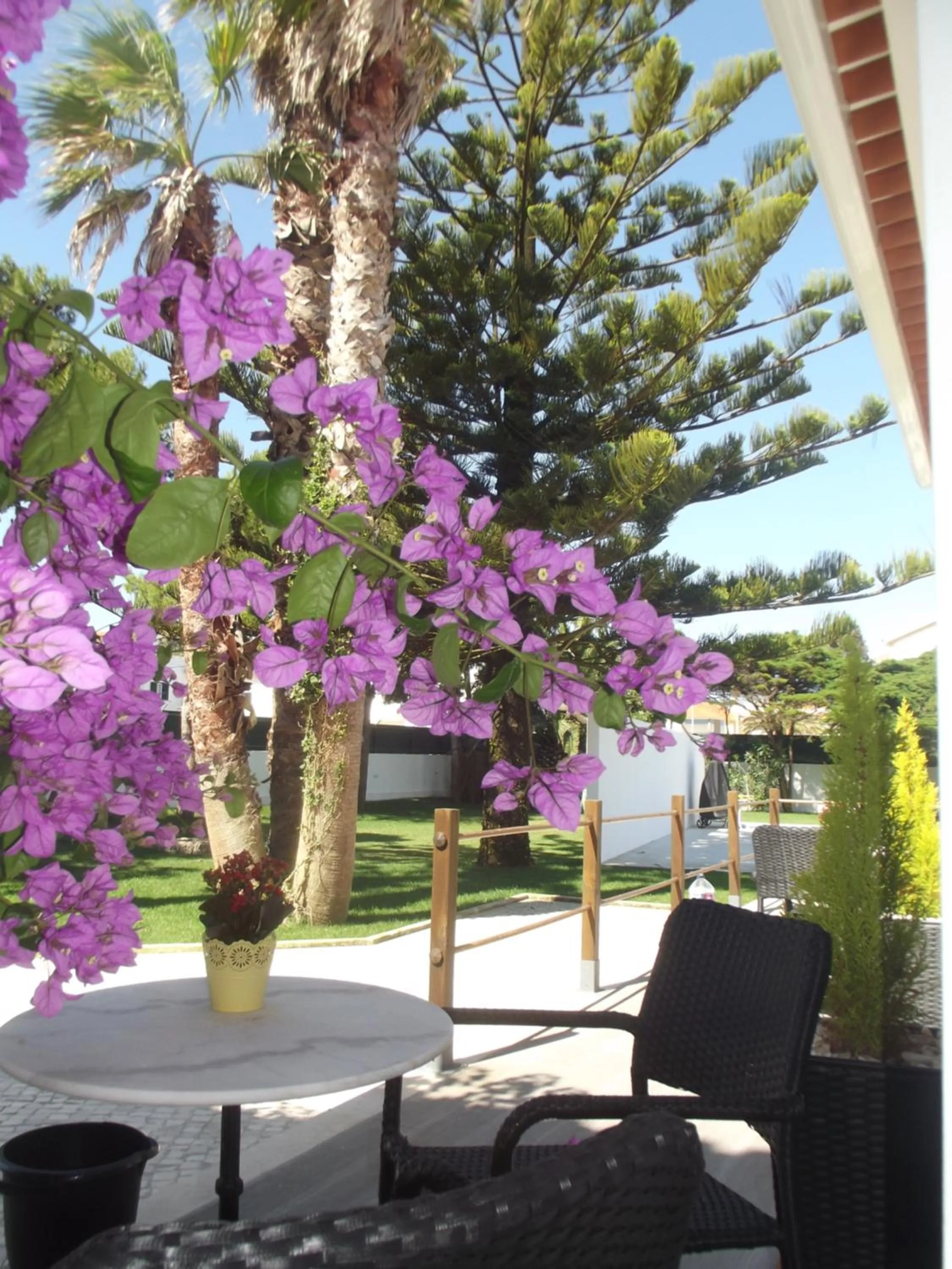 Property building in Silver Seahorse Garden Retreat