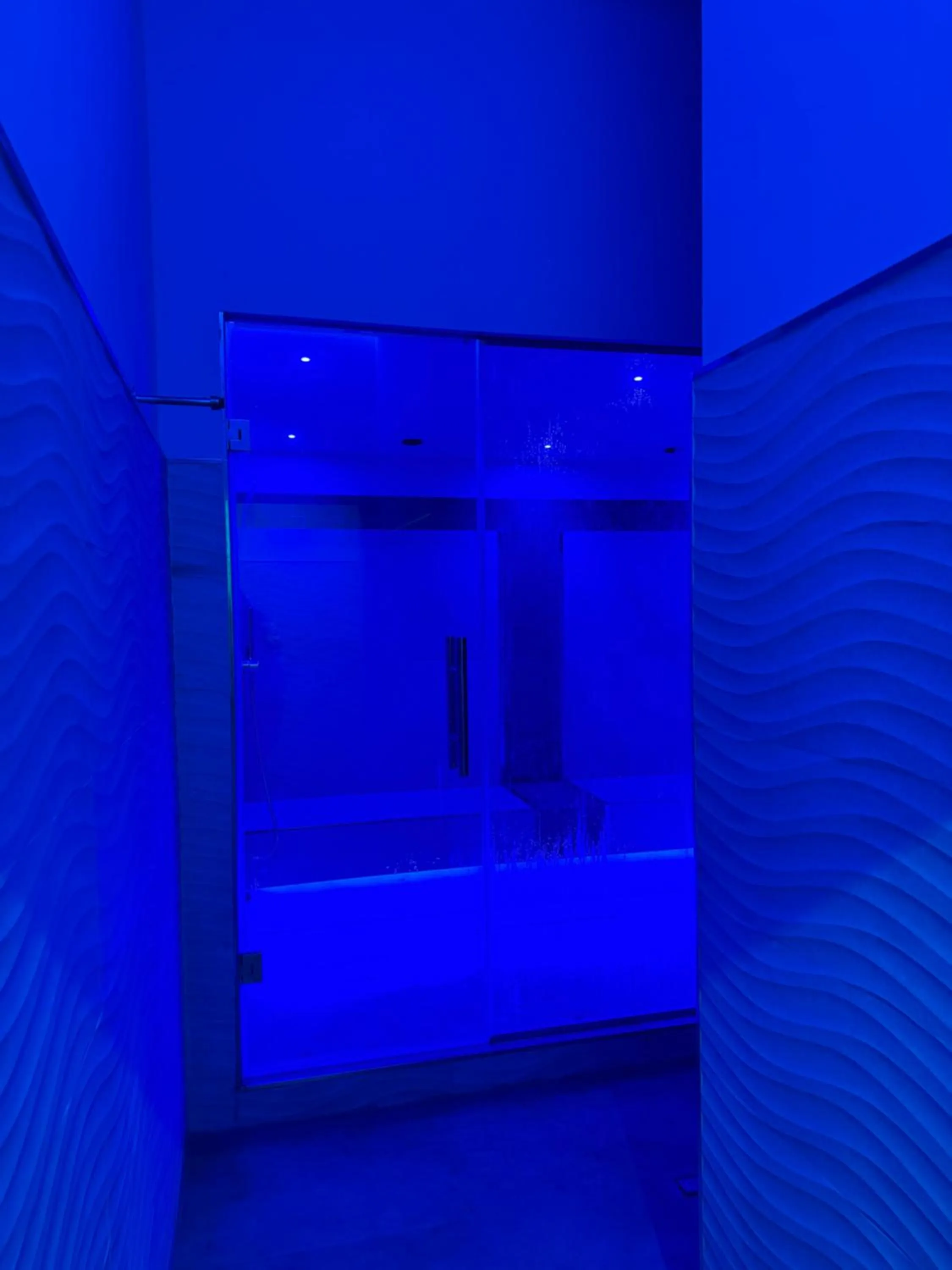 Sauna, Bed in Hotel Butterfly Wellness & Spa