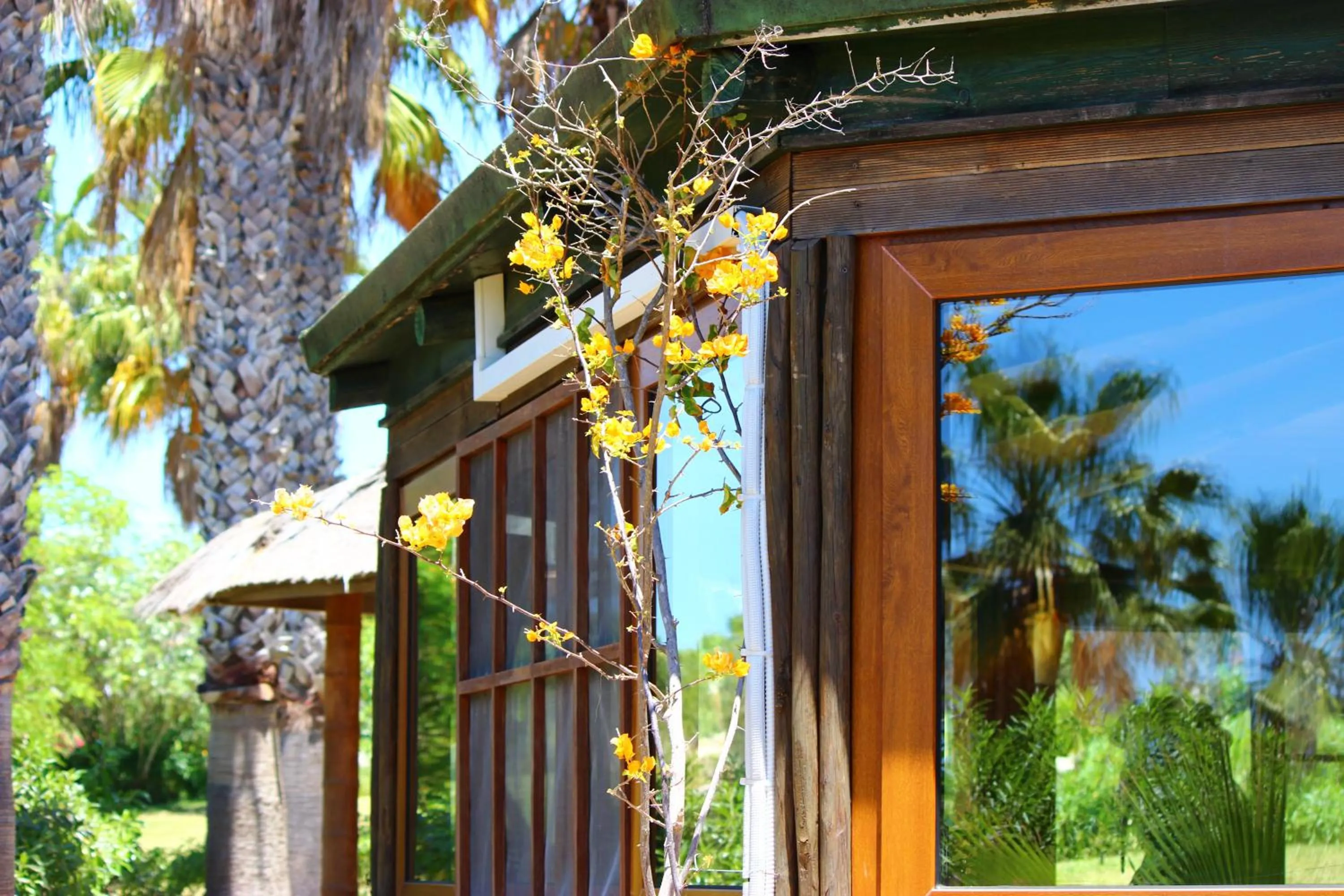 Facade/entrance in Quinta do Mar - Country & Sea Village