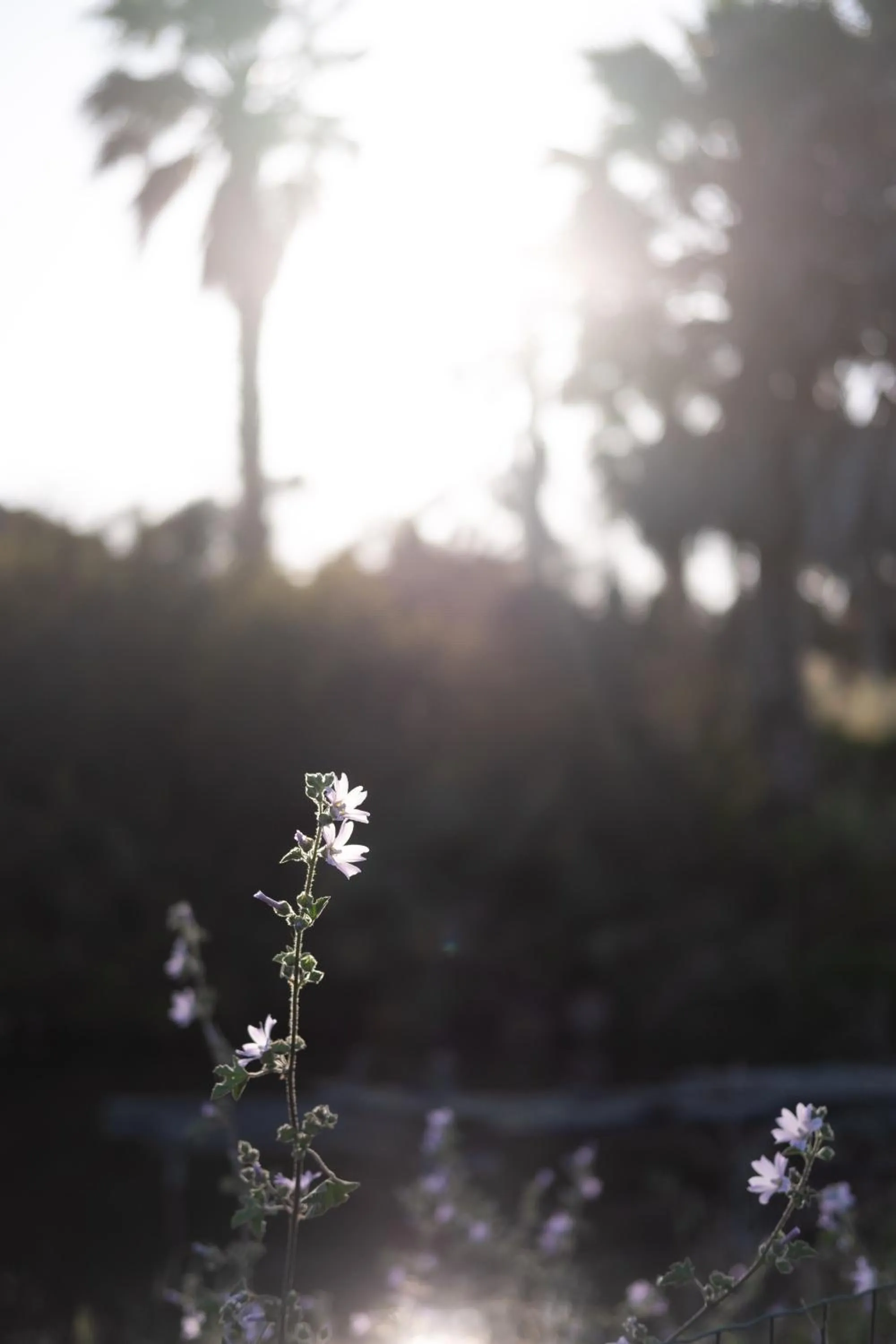 Natural landscape in Quinta do Mar - Country & Sea Village