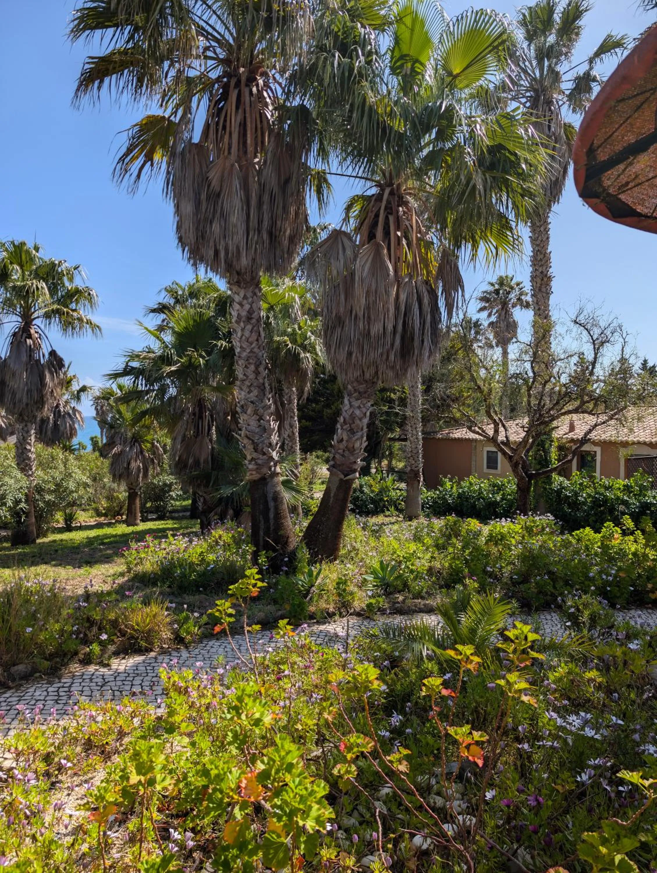 Garden in Quinta do Mar - Country & Sea Village