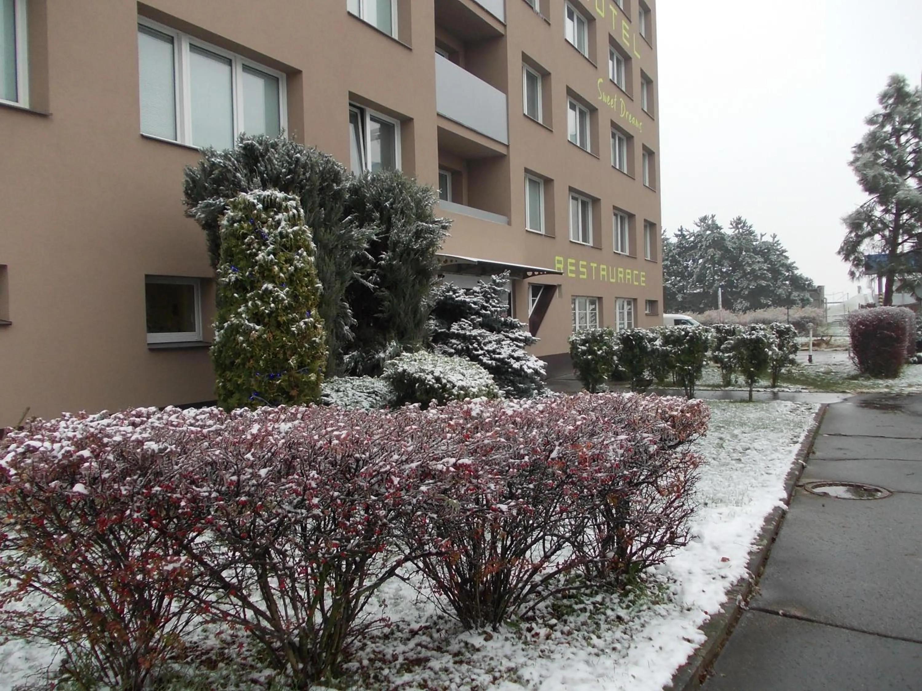Winter in Hotel Milotel