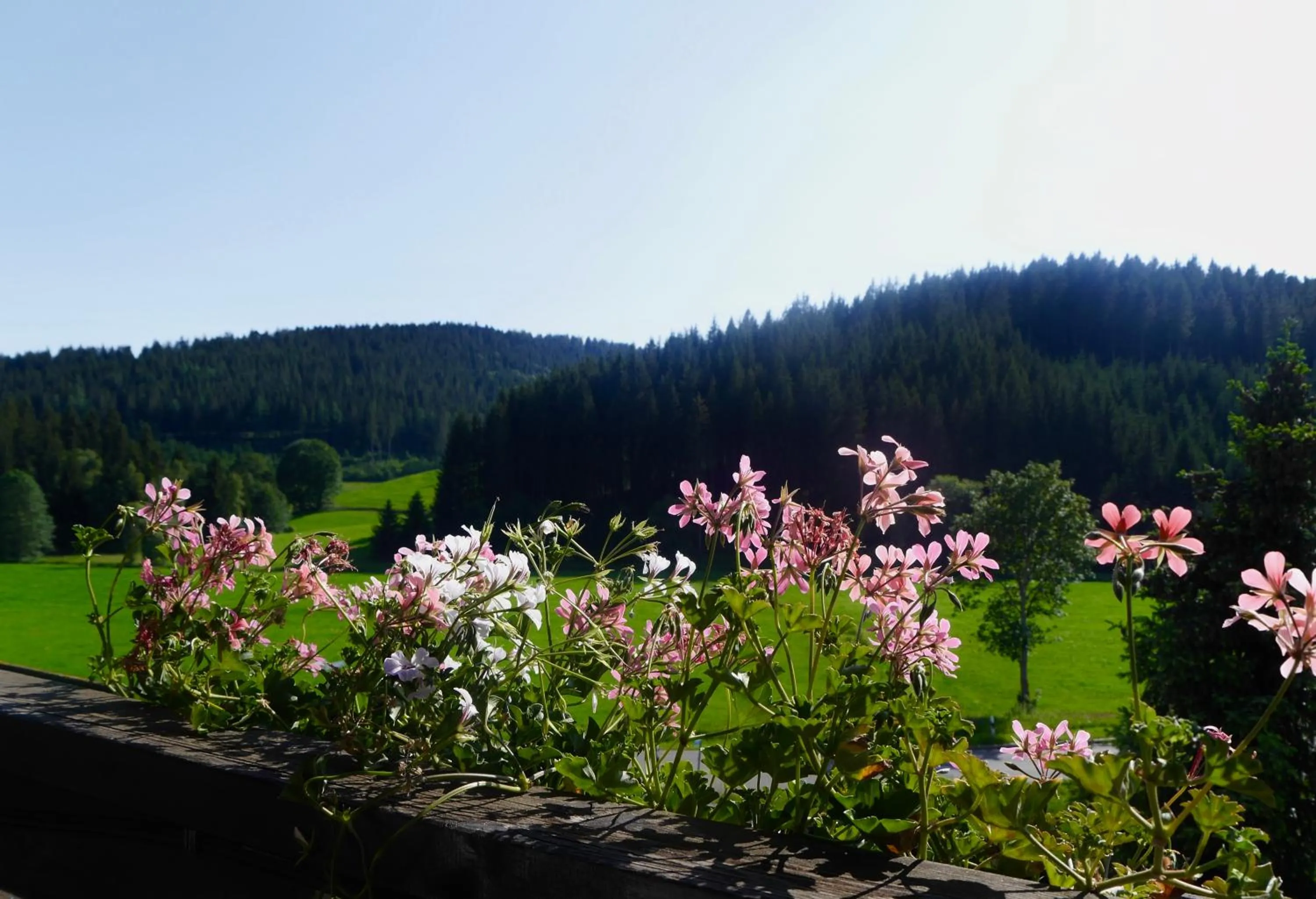 Mountain view in Landgasthof Jostalstüble