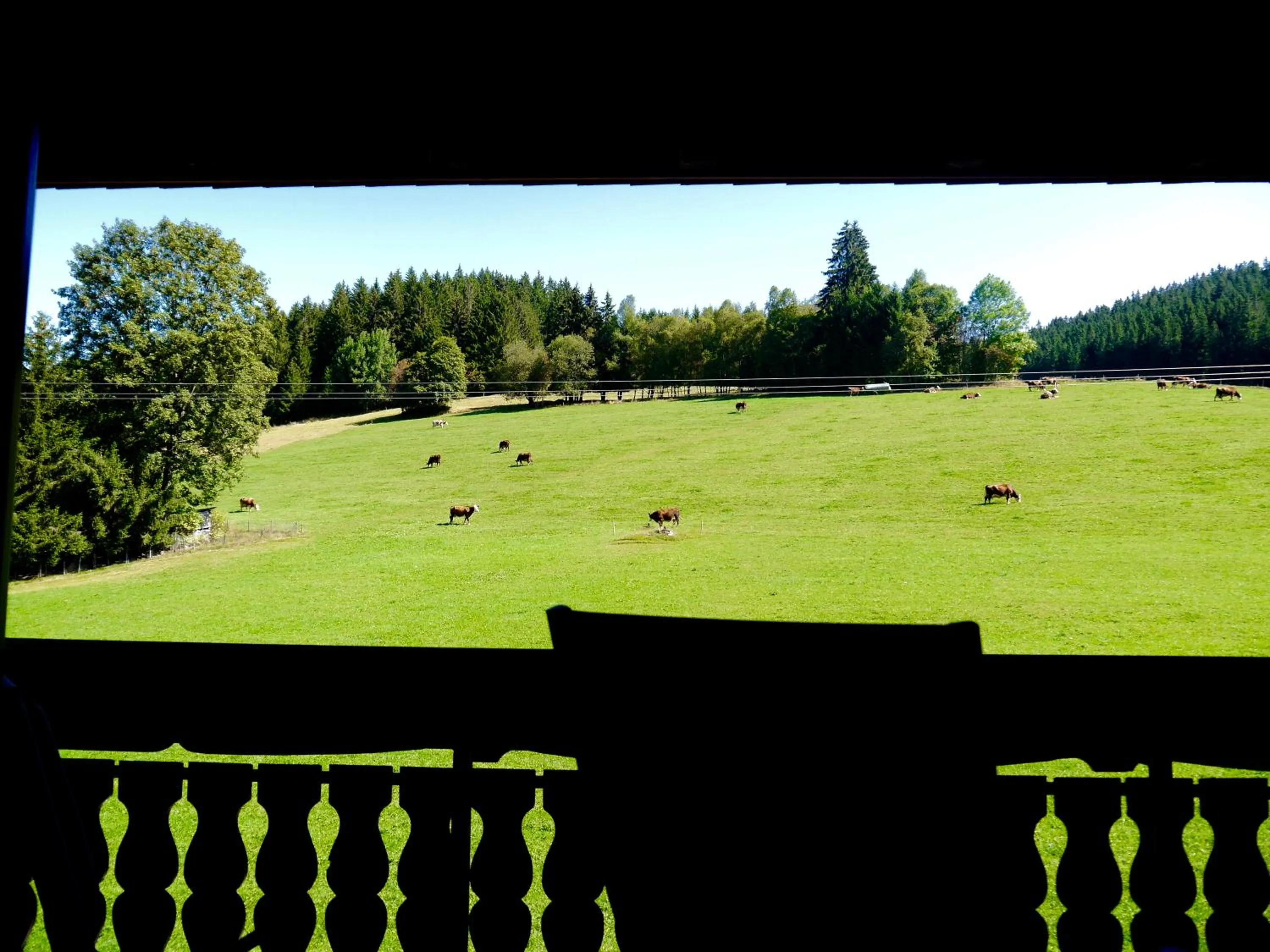 Day in Landgasthof Jostalstüble