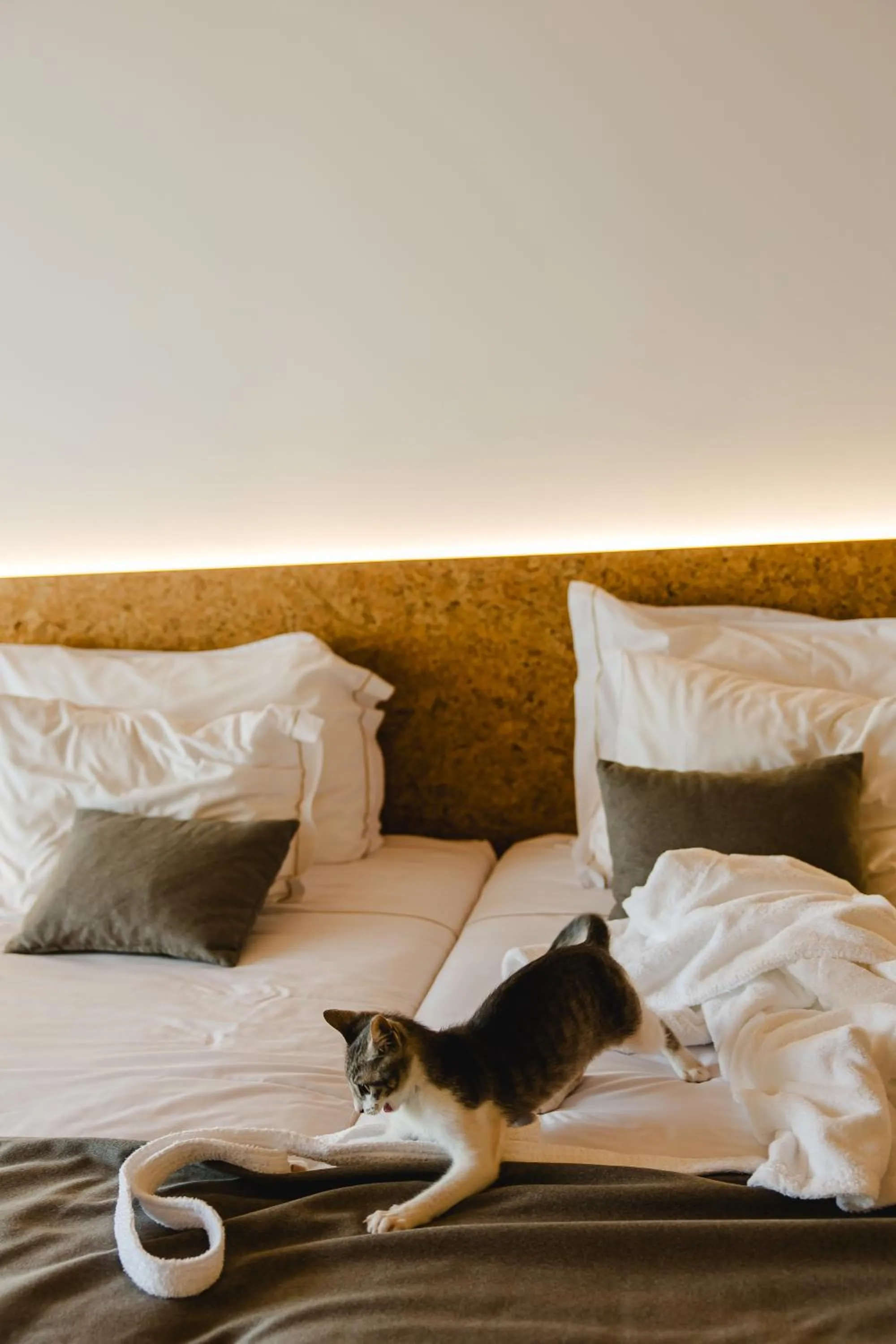 Animals, Bed in Canadiano Urban Nature Hotel