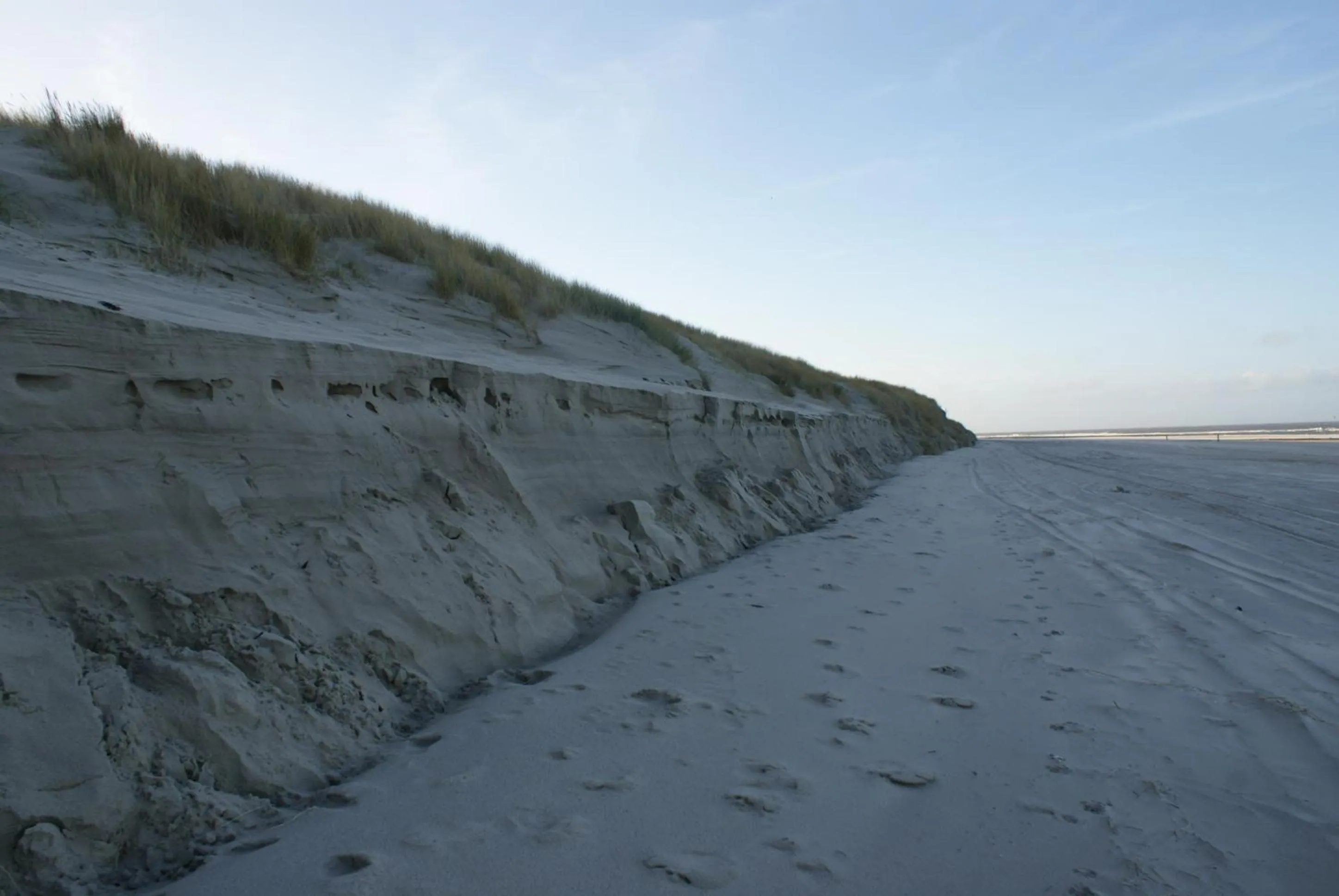 Other in De Herbergh van Flielant