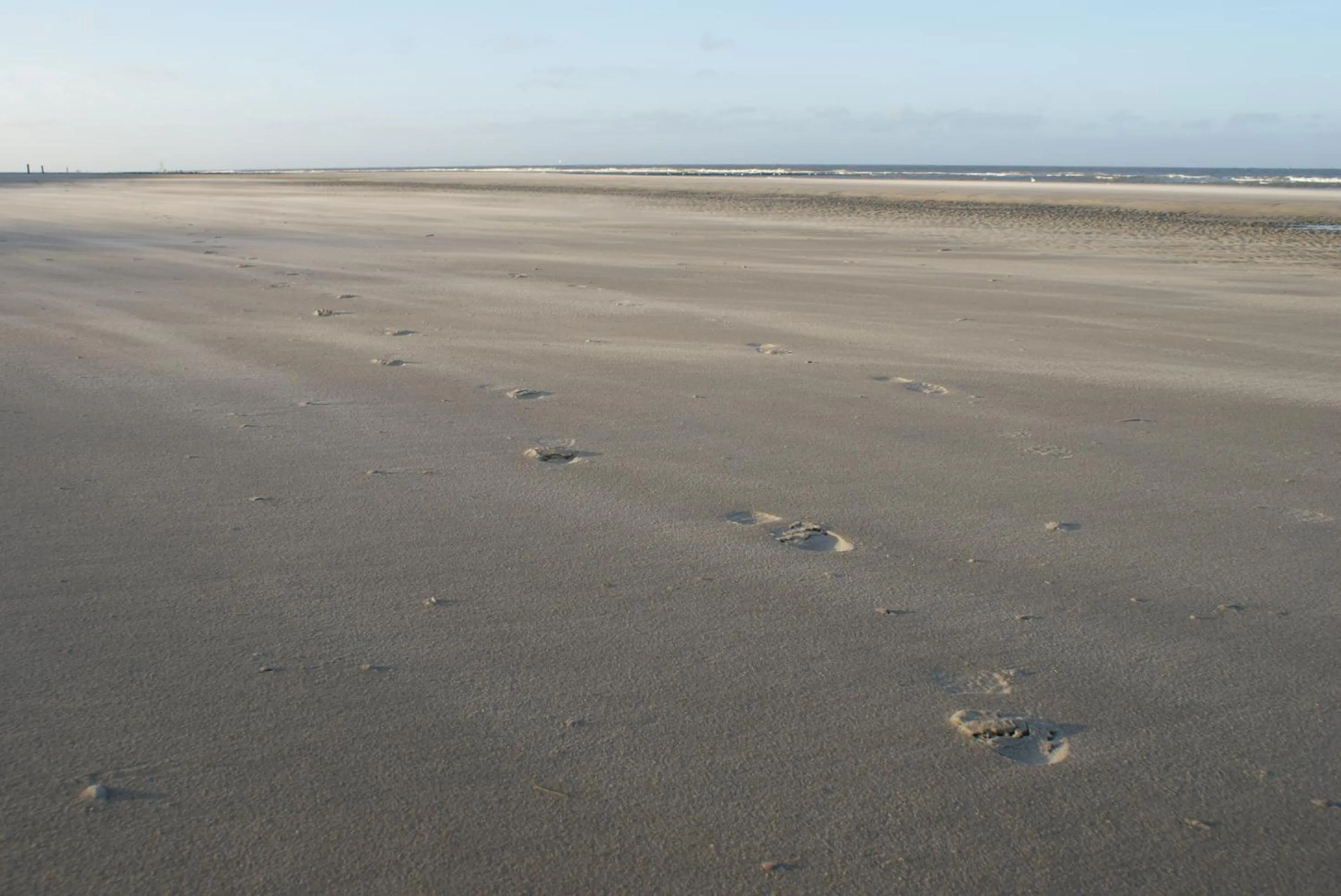 Other in De Herbergh van Flielant