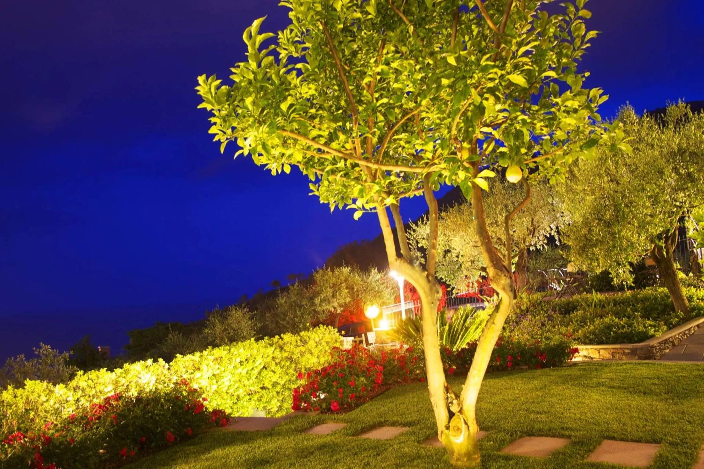 Night in B&B Il Parco