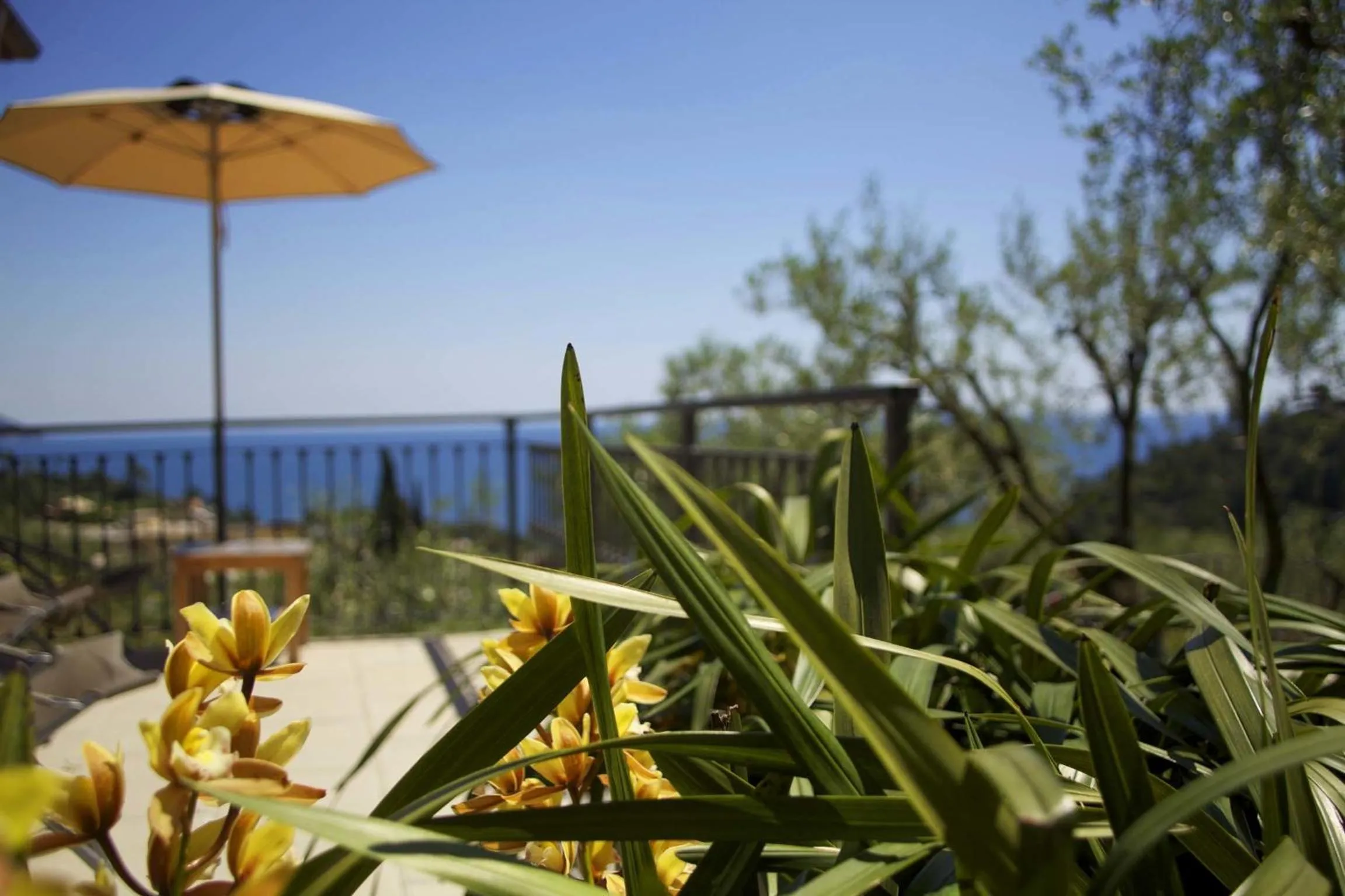 Sea view in B&B Il Parco