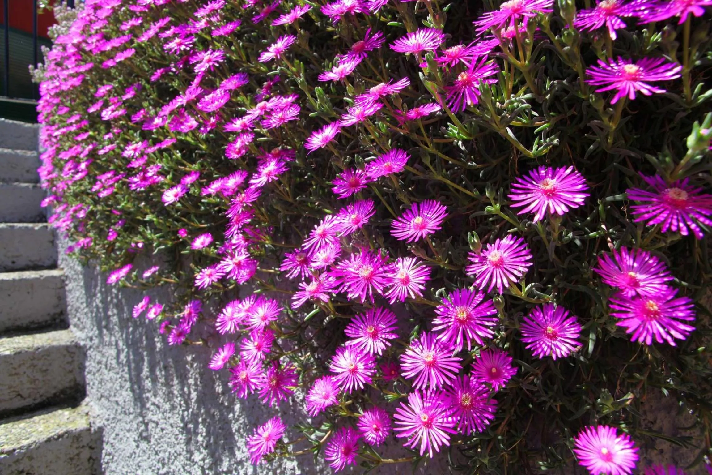 Garden view in B&B Il Parco