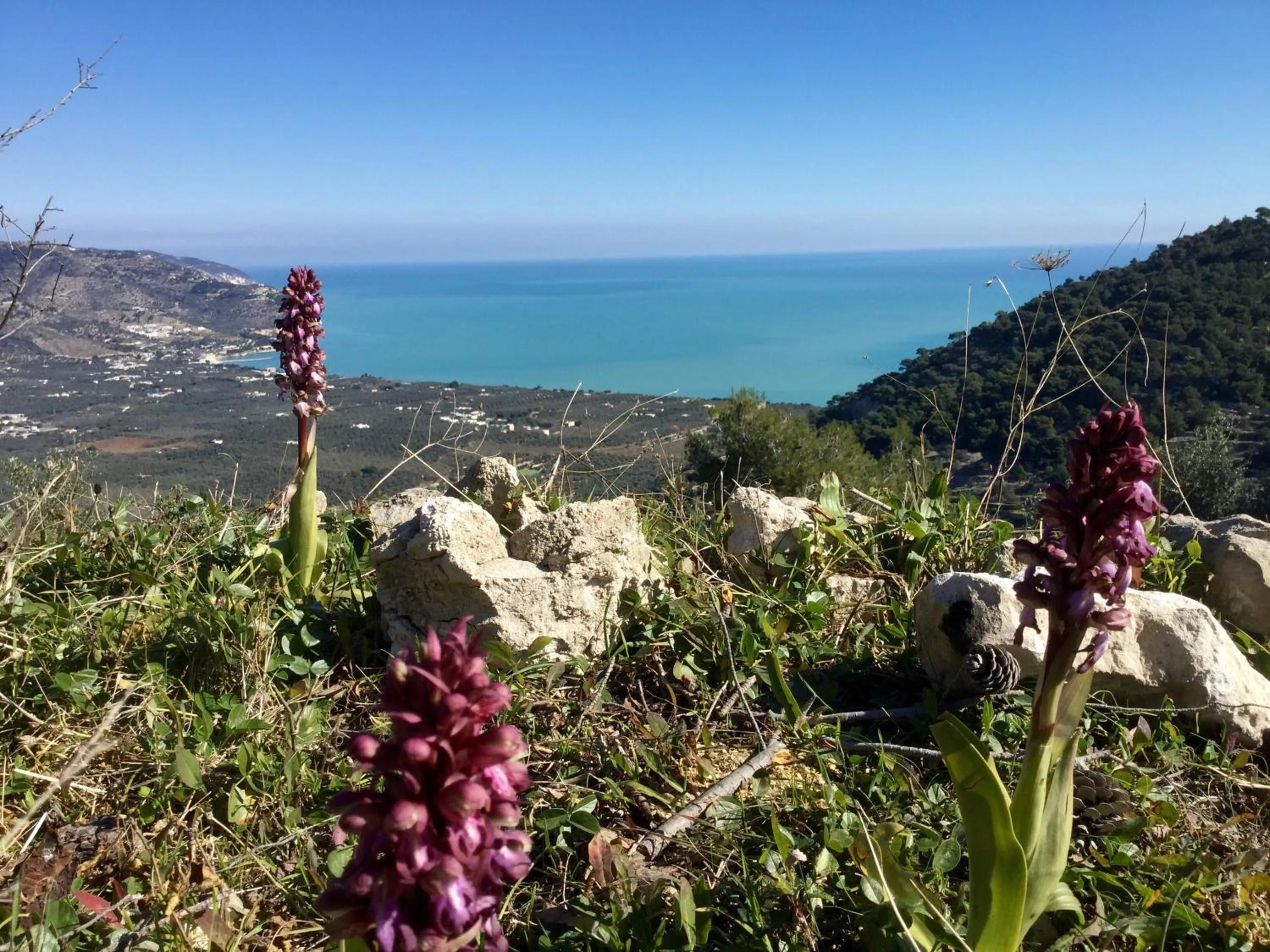 Natural landscape in Hotel Residence Il Porto