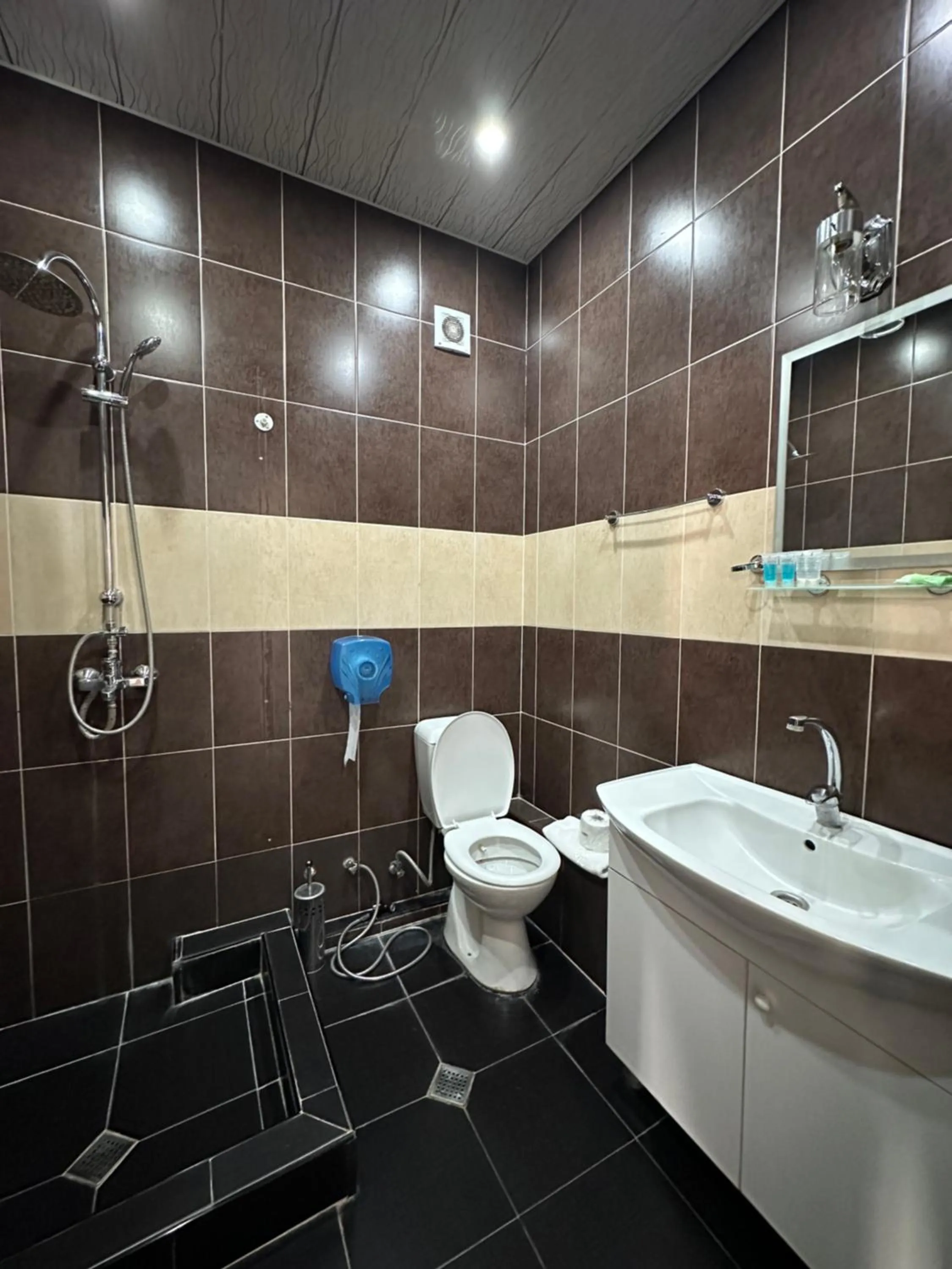 Shower in MARJANI apartments