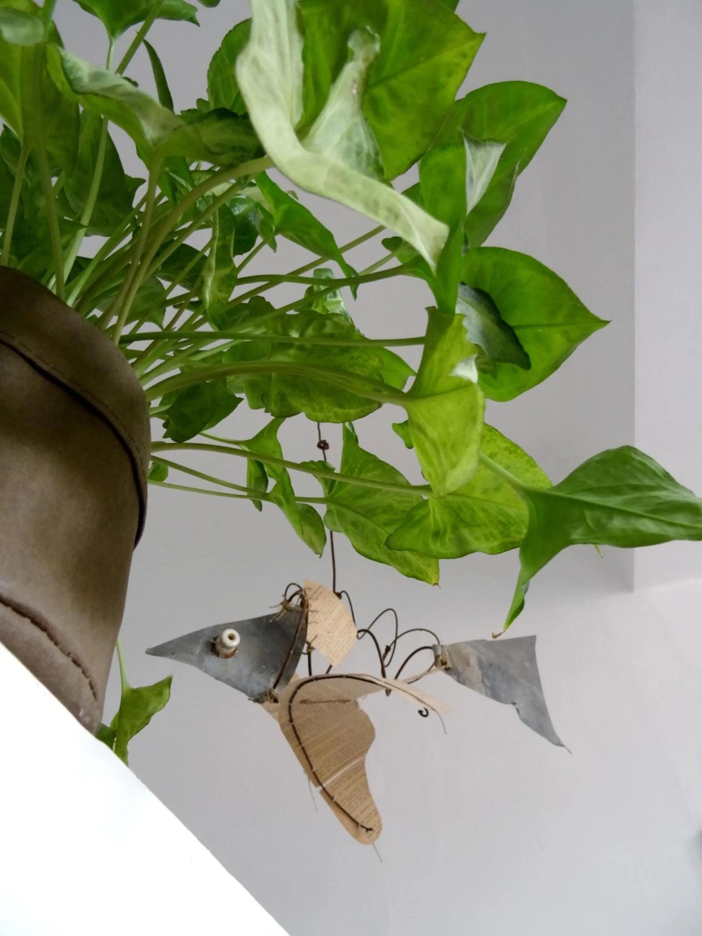 Shower in L'escalier des rêves