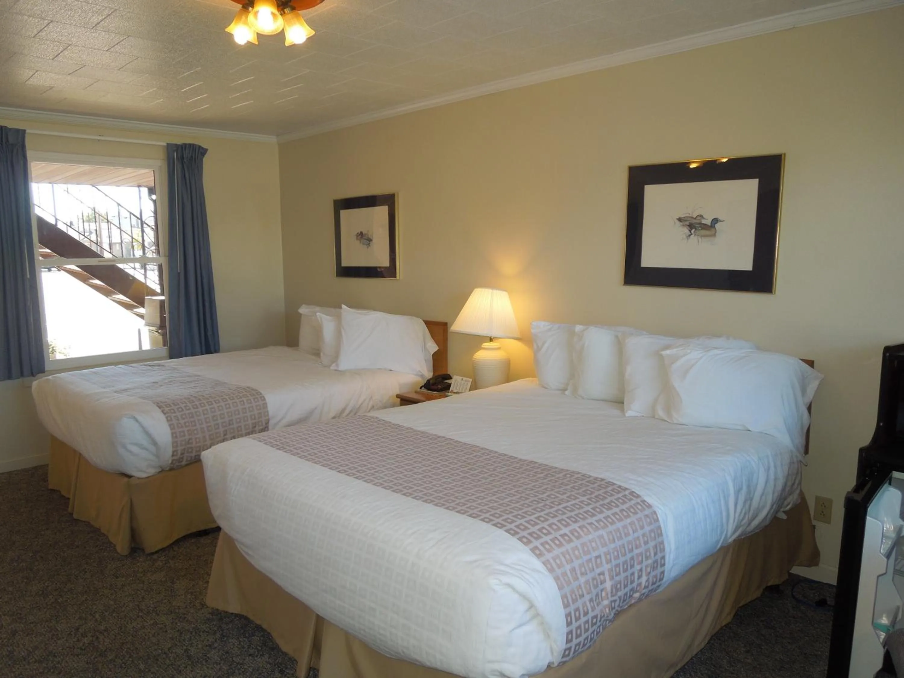 Day in Arlington Inn