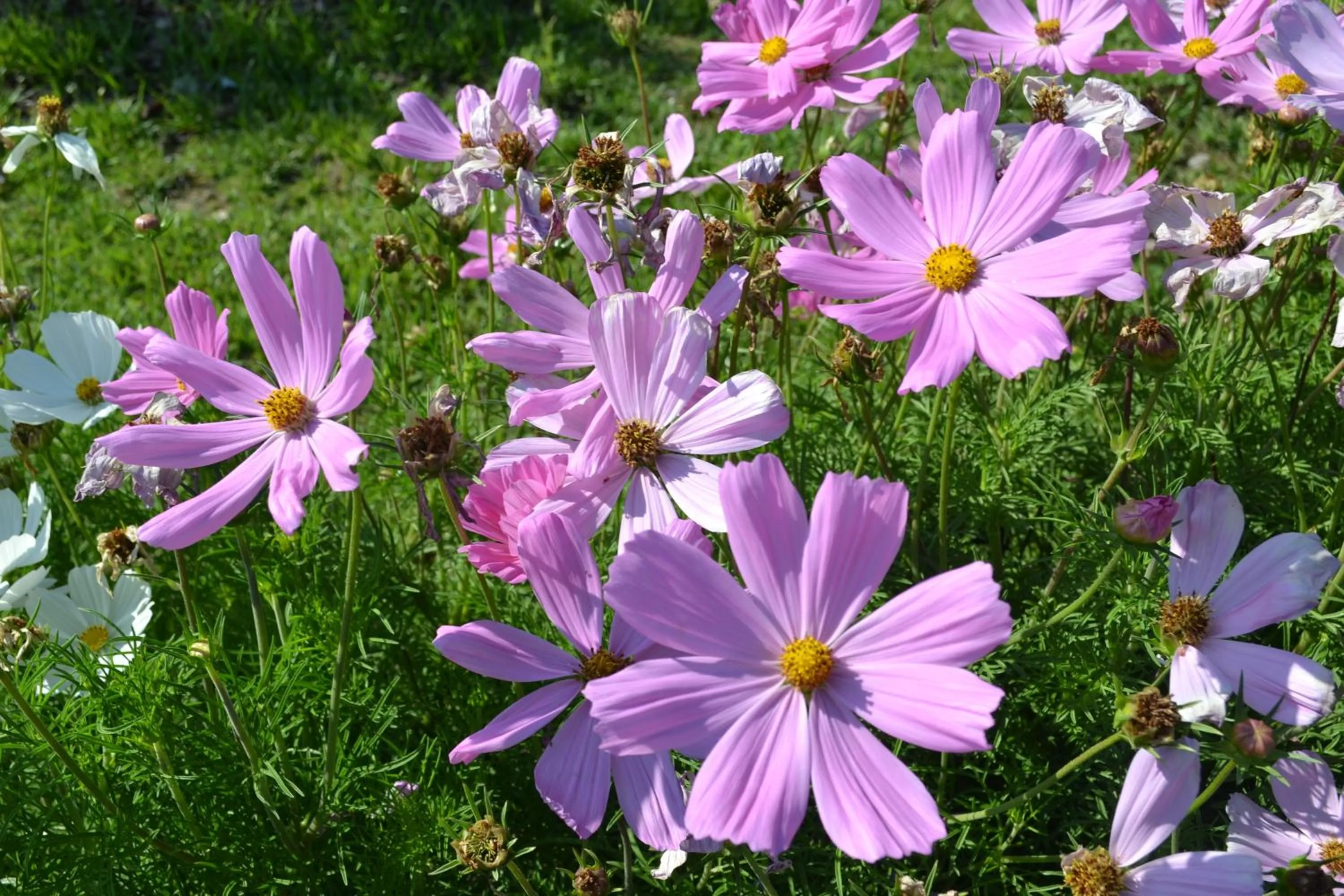 B&B Le Saline Bed & Breakfast