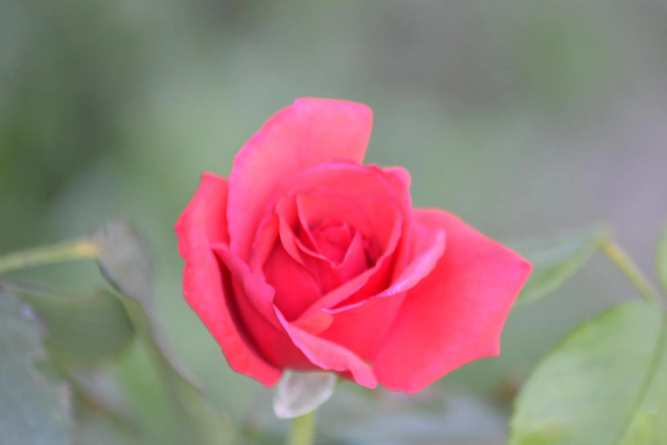 B&B Le Saline Bed & Breakfast