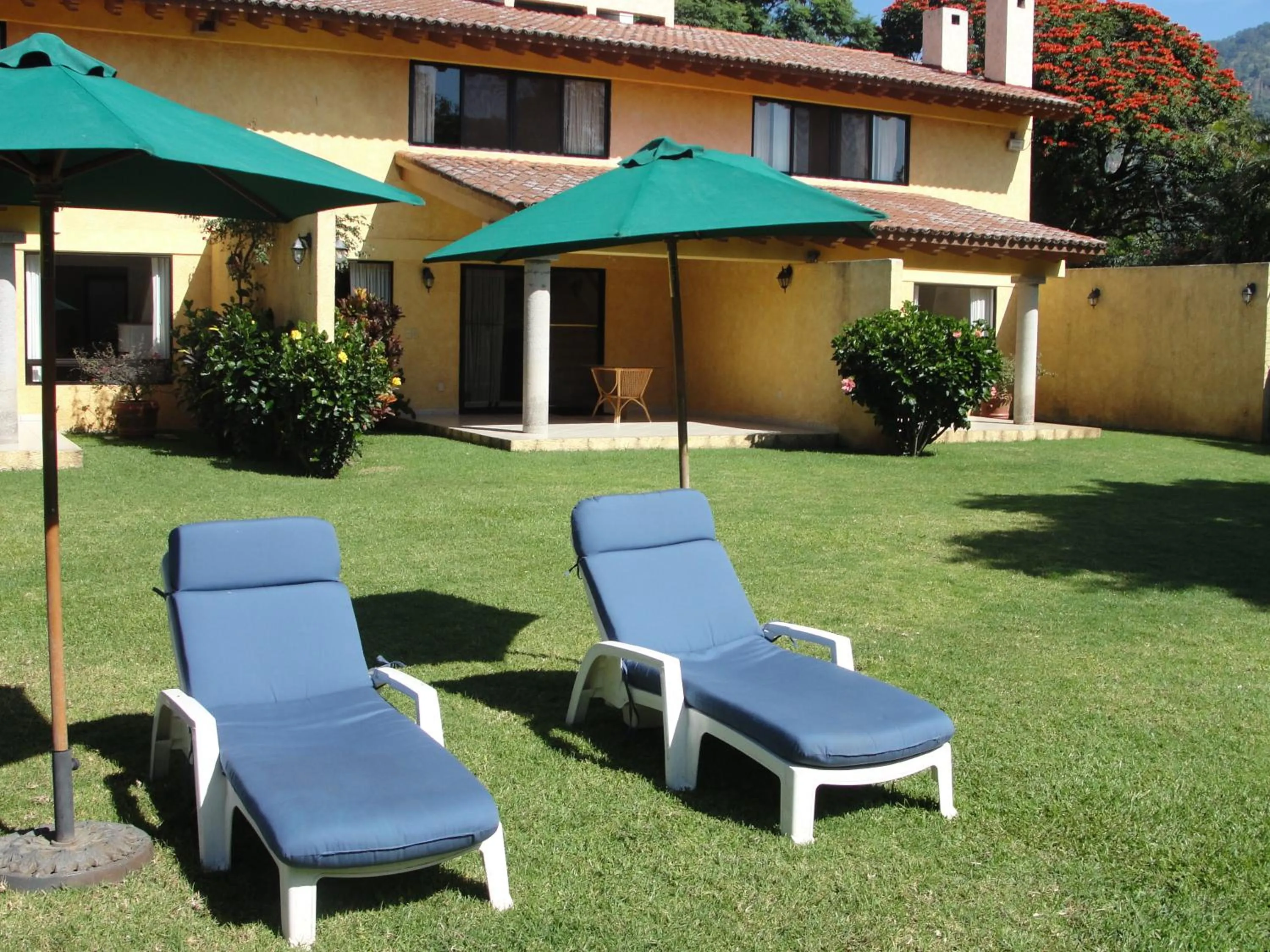 Day in Las Casitas Tepoztlán