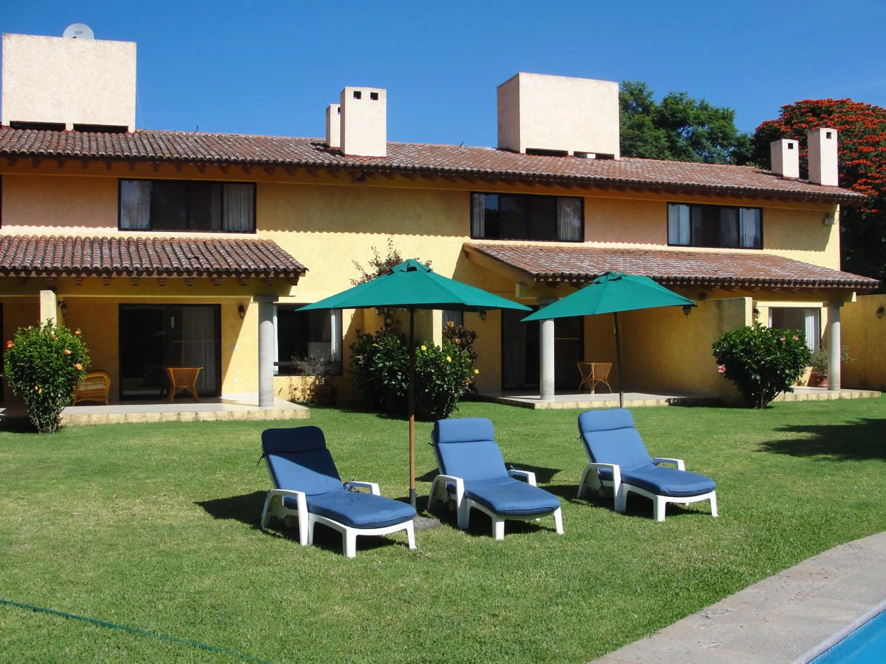 Spring in Las Casitas Tepoztlán