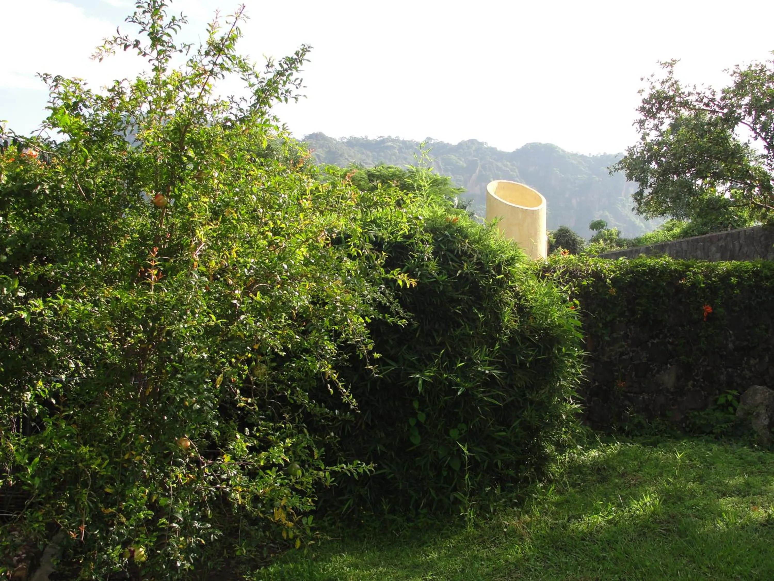 Day in Las Casitas Tepoztlán