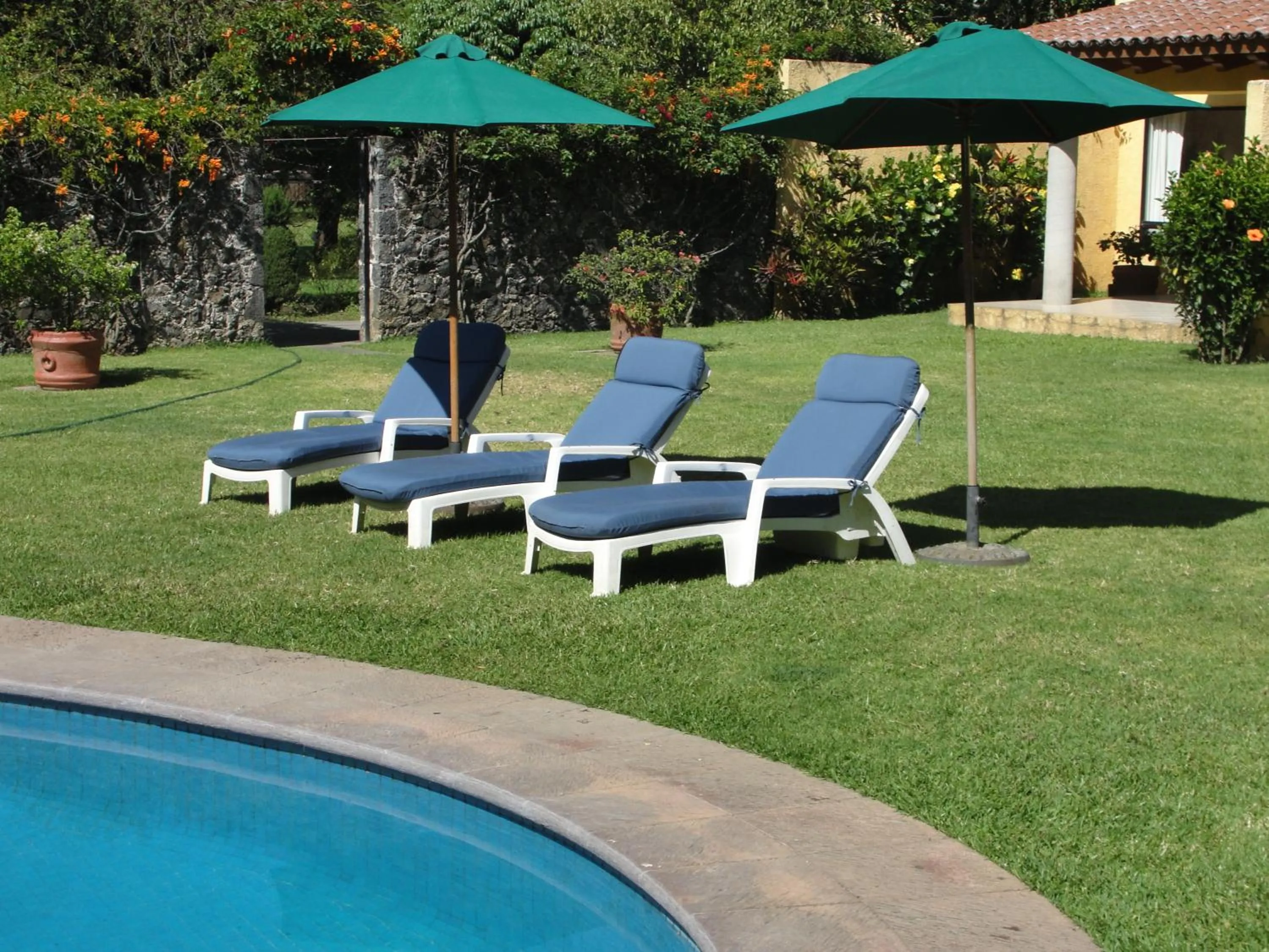 Spring in Las Casitas Tepoztlán