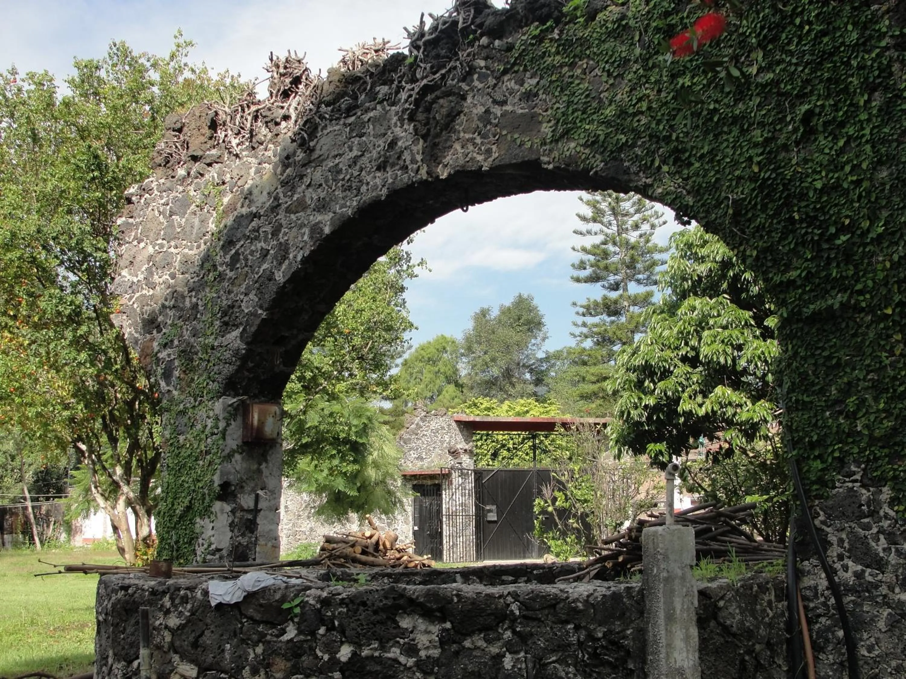 Day in Las Casitas Tepoztlán