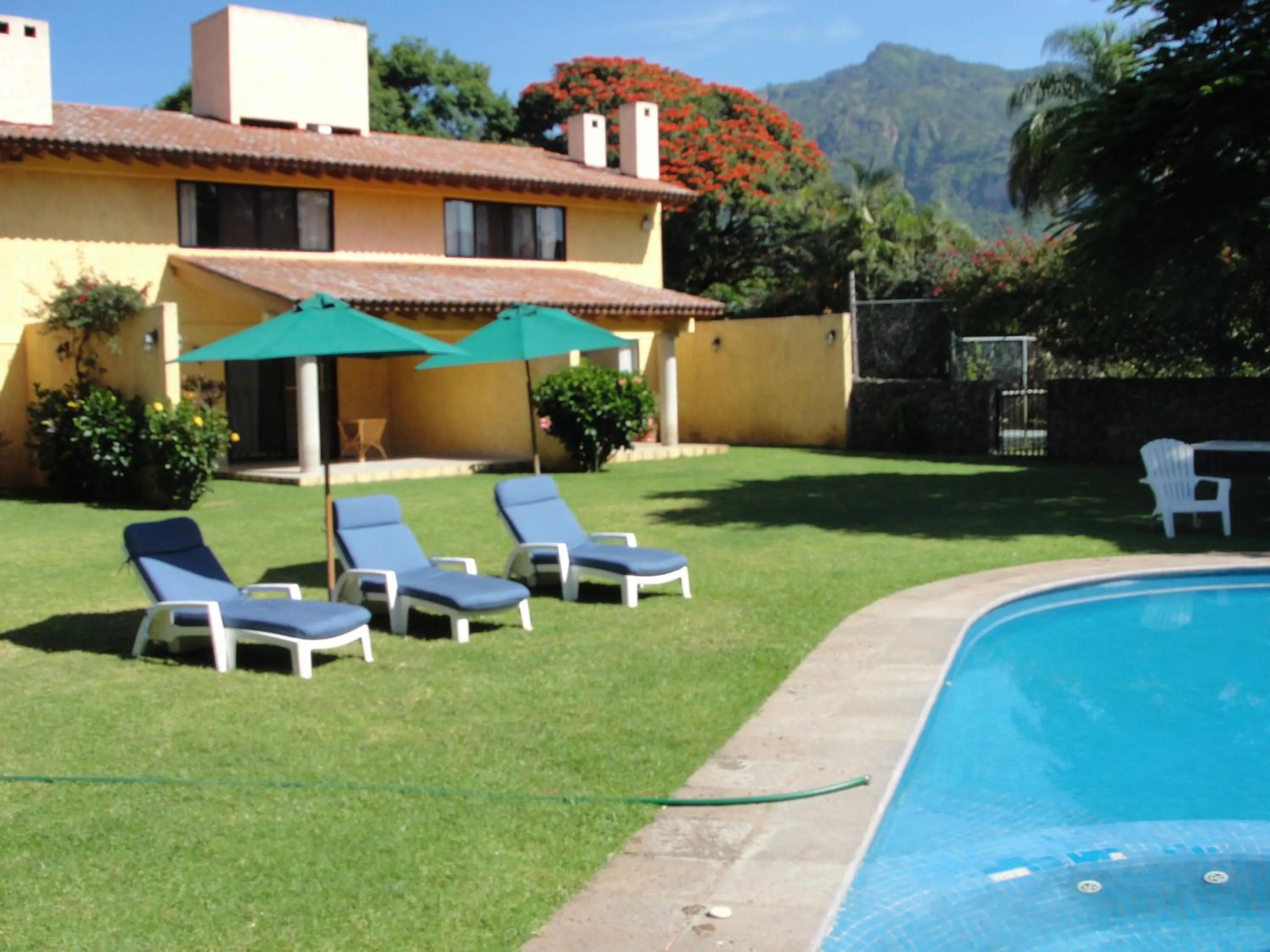Spring in Las Casitas Tepoztlán