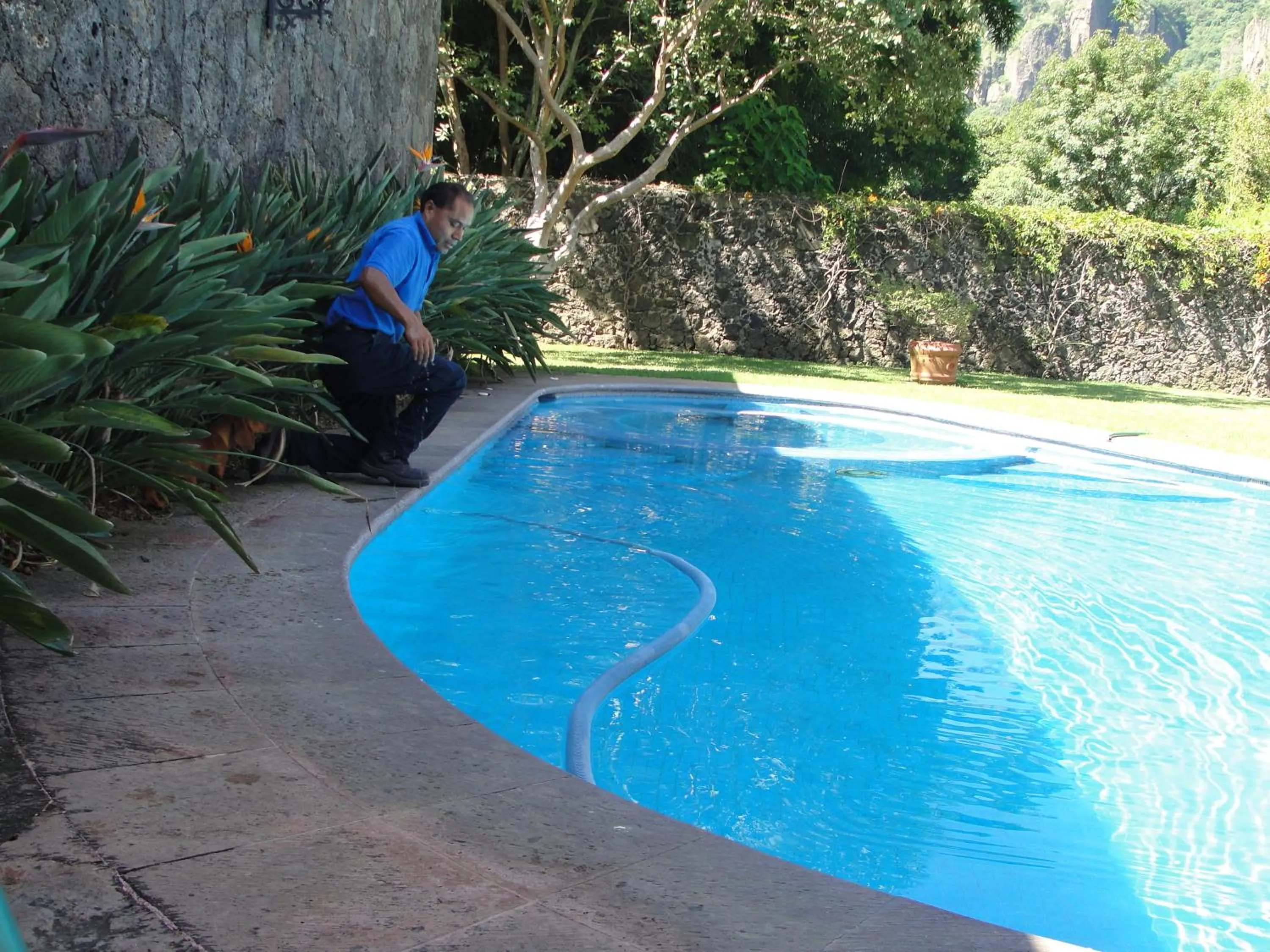 Spring in Las Casitas Tepoztlán