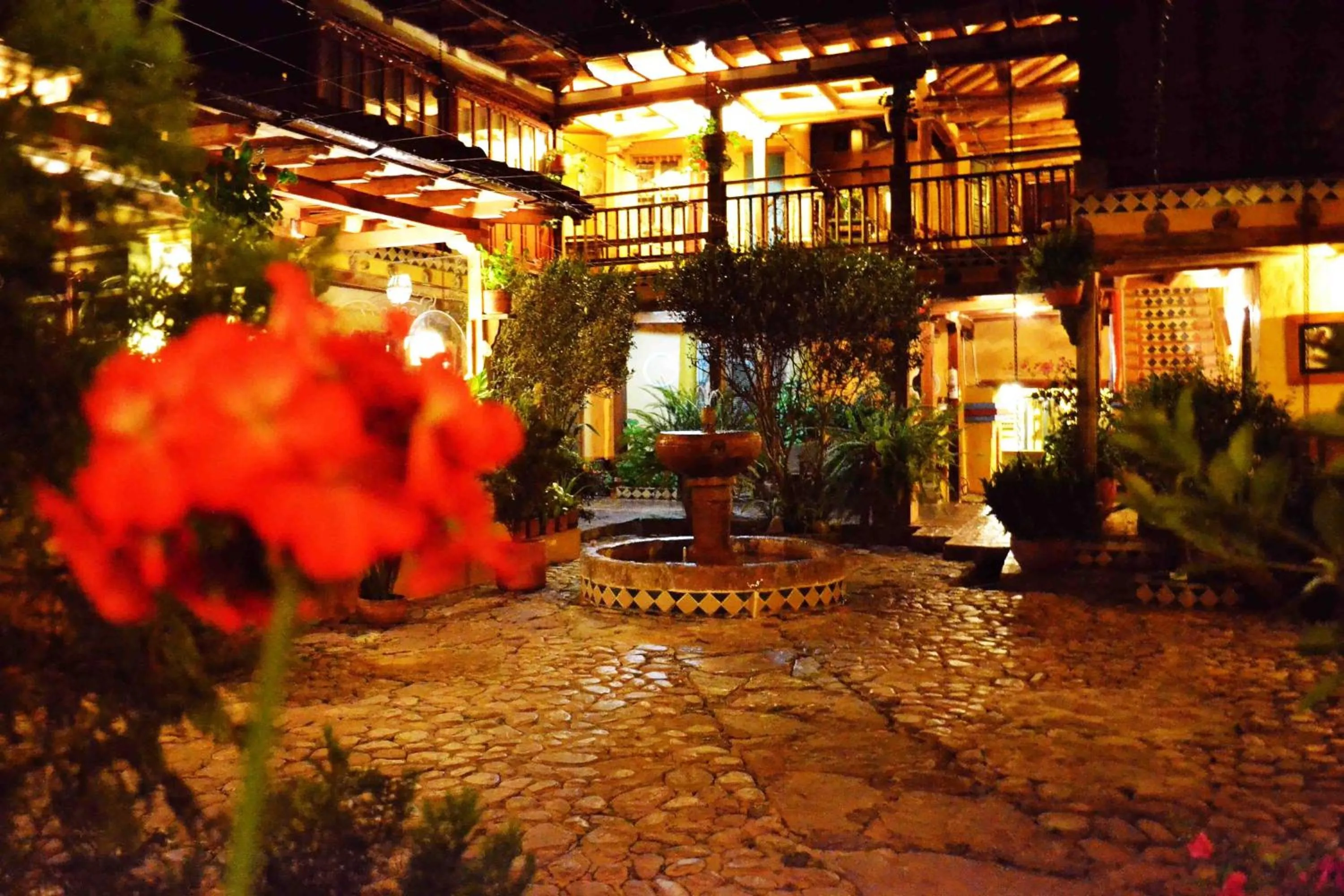 Garden in Hotel La Posada de San Antonio