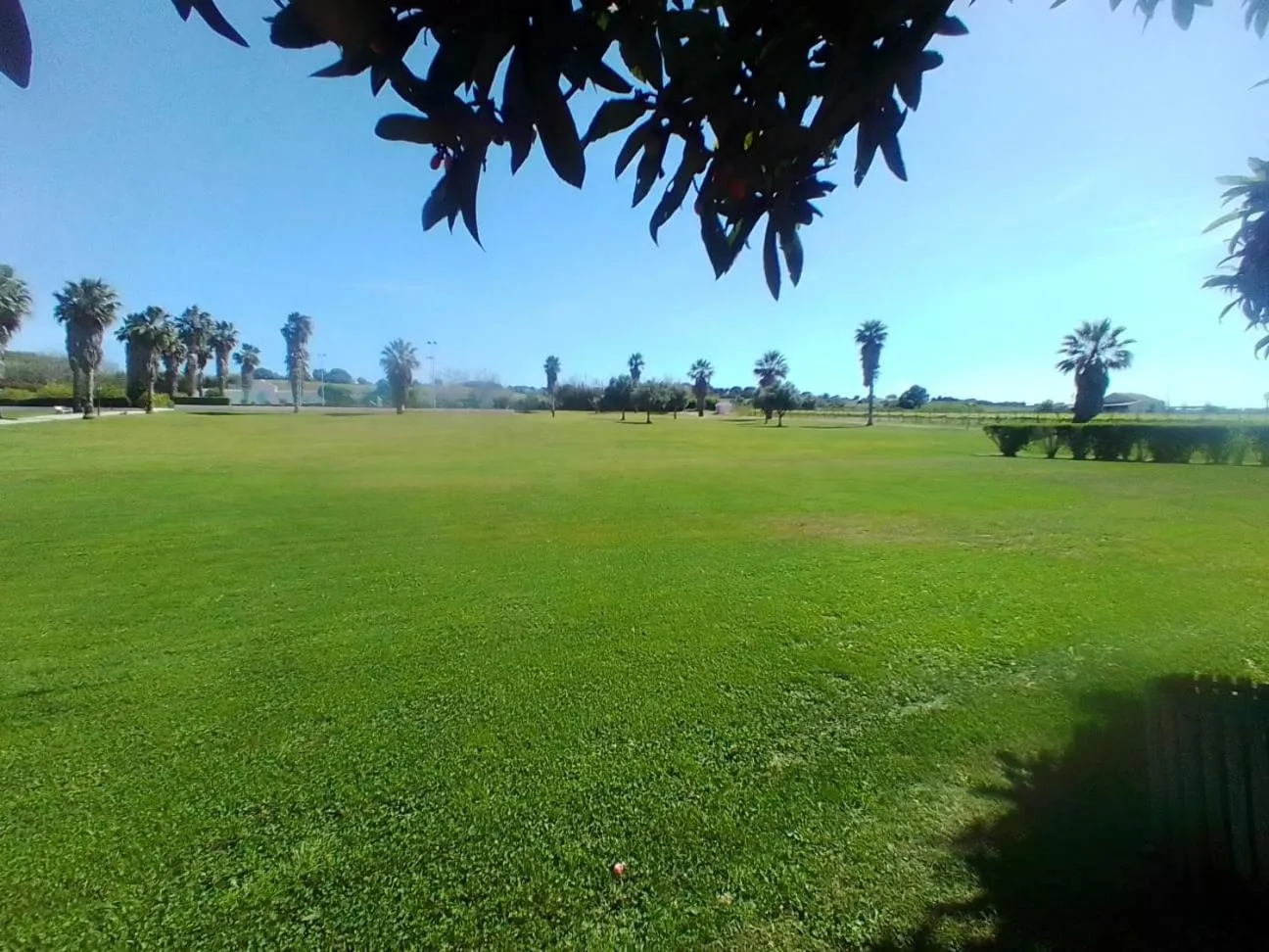 Garden view in Turim Club Azeitao Hotel