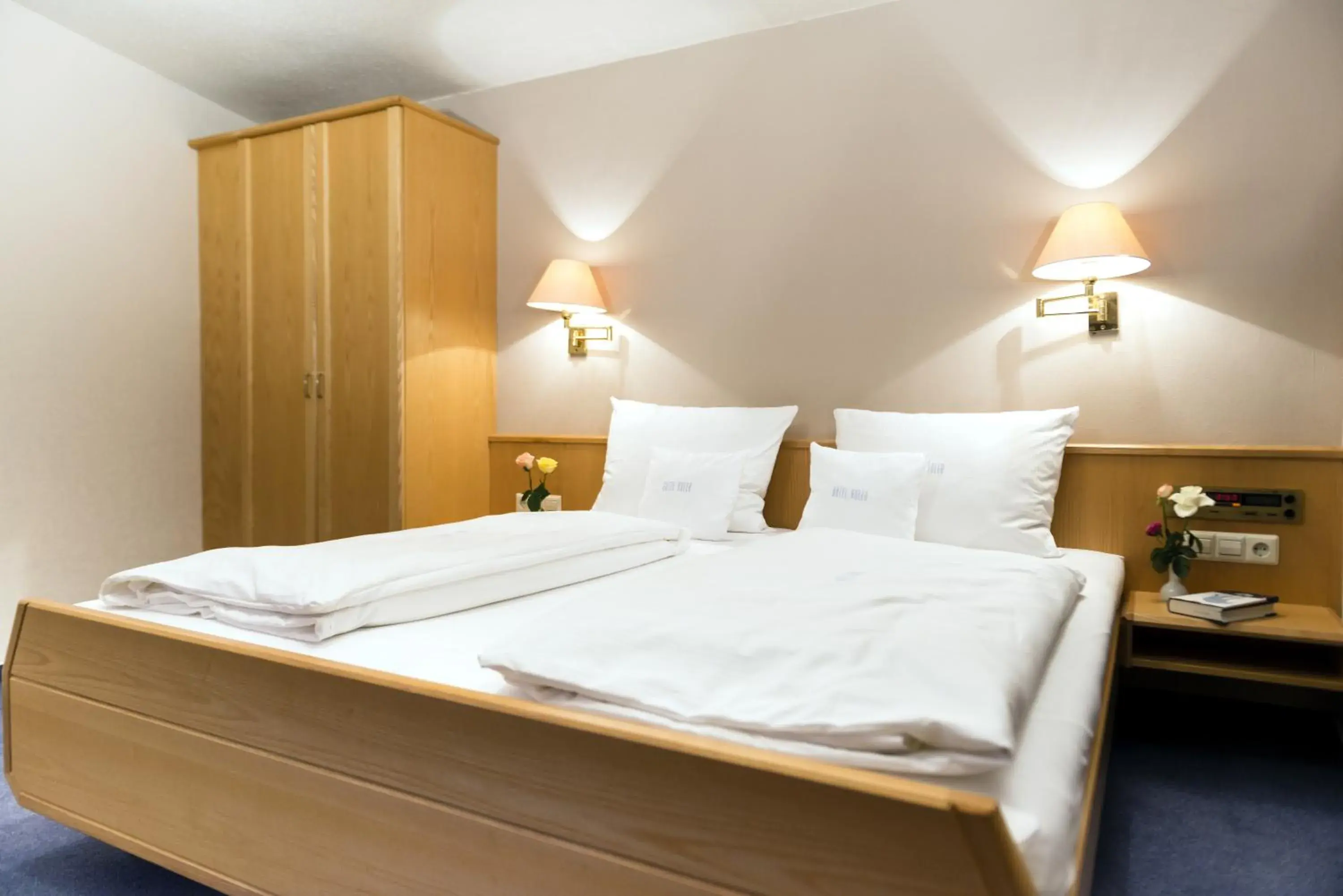 Standard Double Room in Hotel Adler Standard Double Room in Hotel Adler