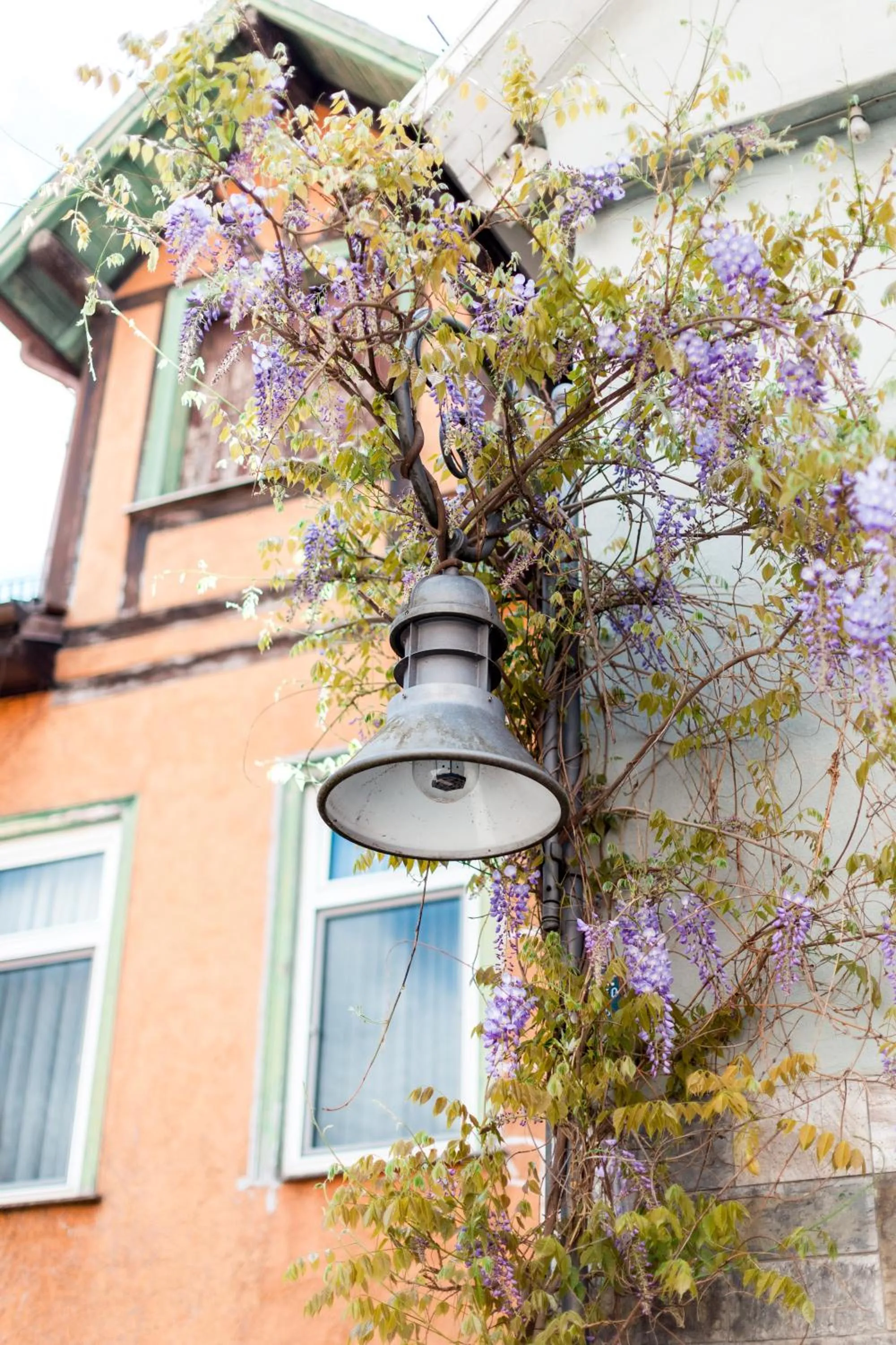 Property building in Hotel Adler