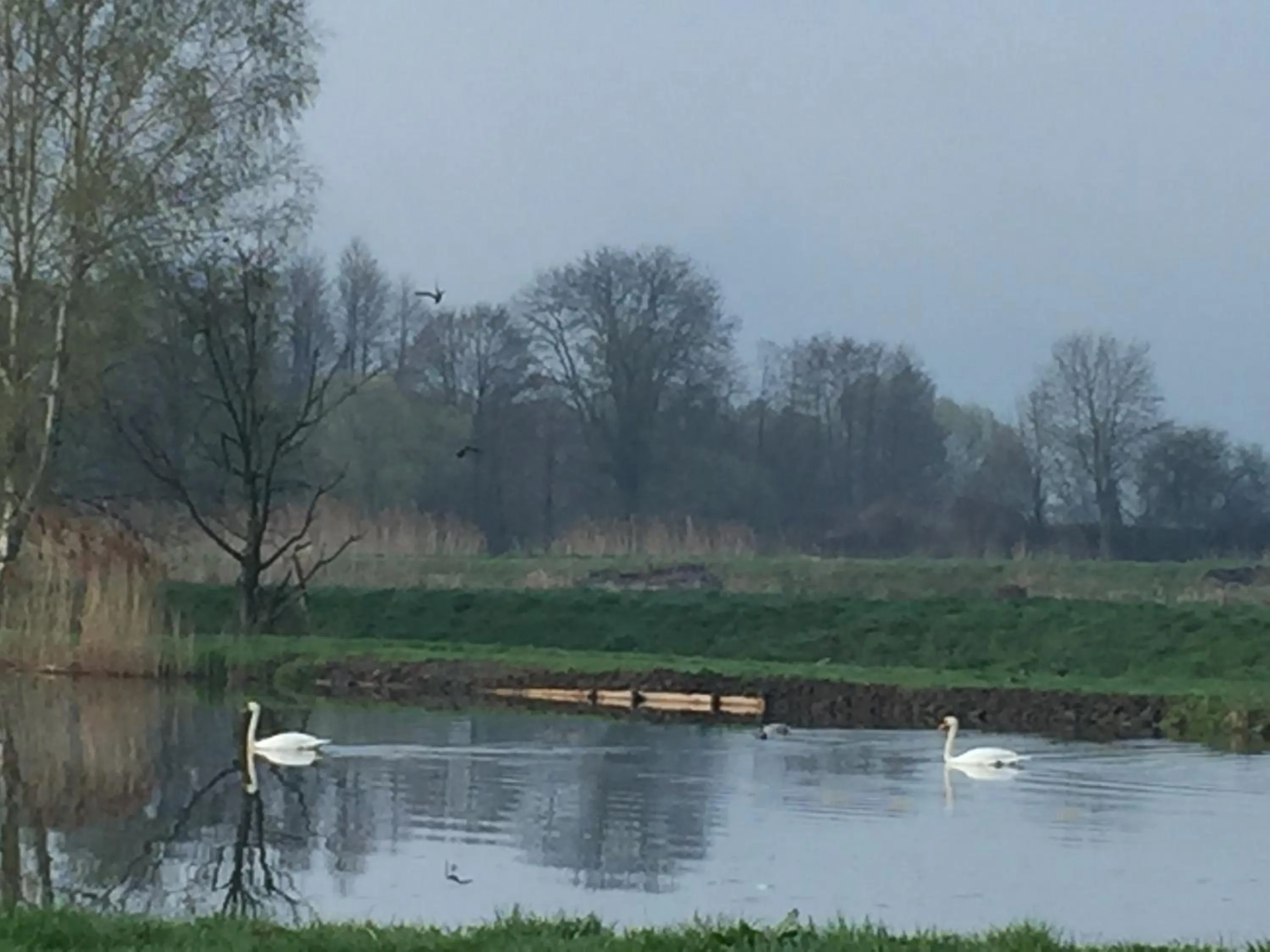 Activities in Zamek Dobra