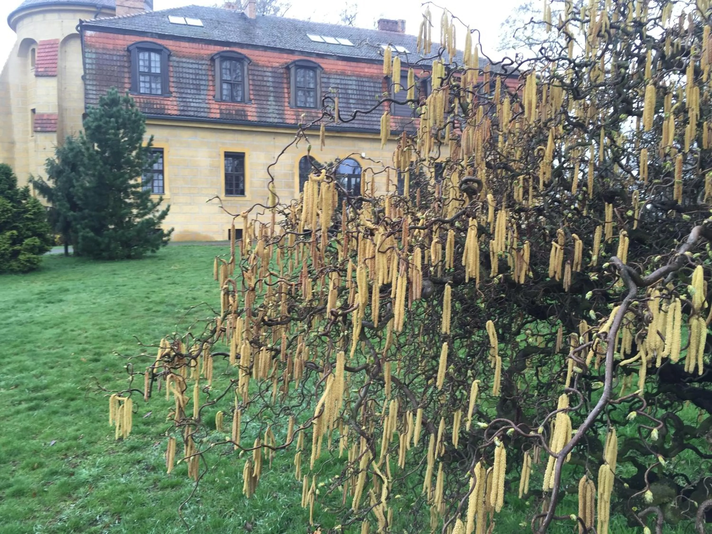 Natural landscape in Zamek Dobra