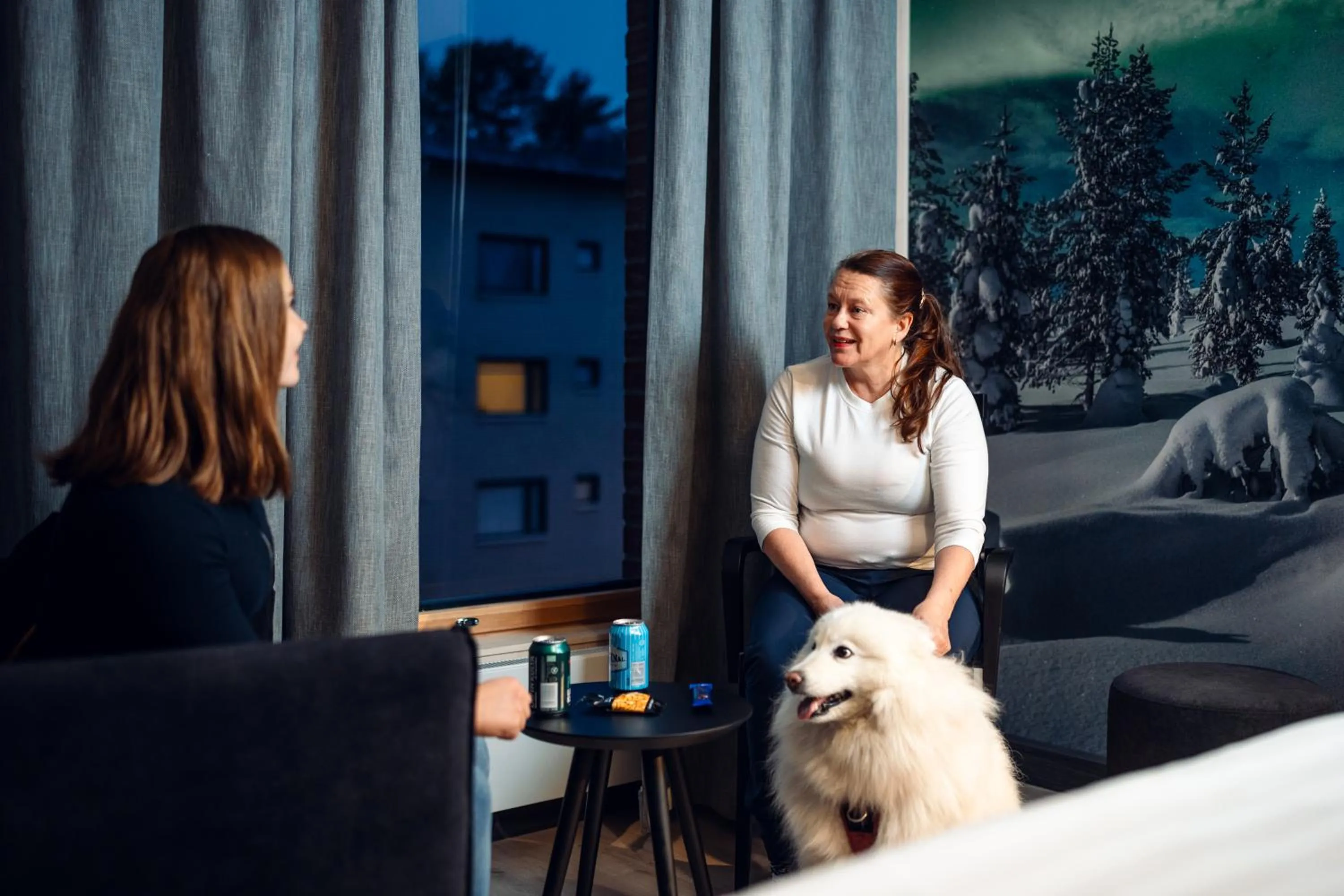 Animals in Hotelli Sodankylä