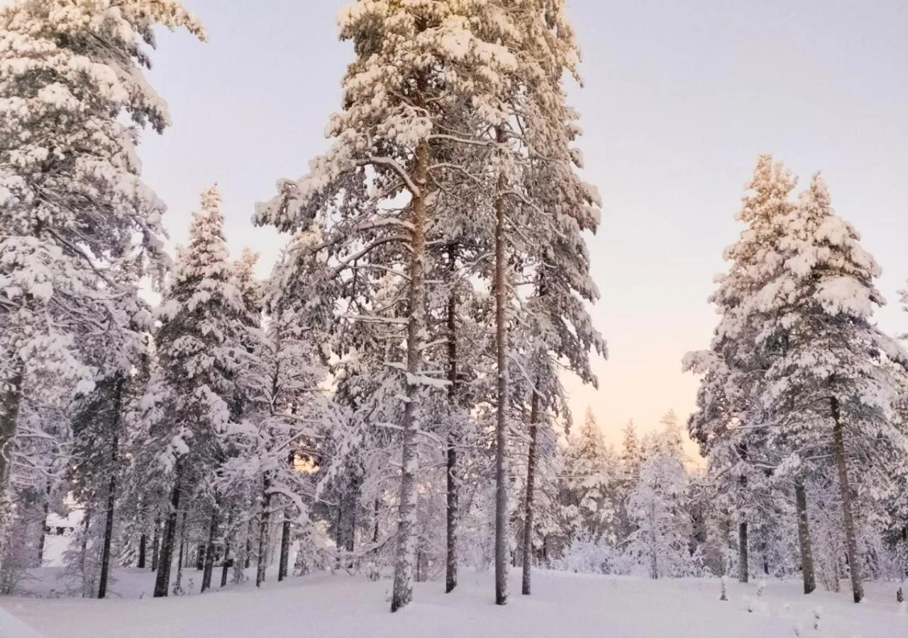 Neighbourhood in Hotelli Sodankylä