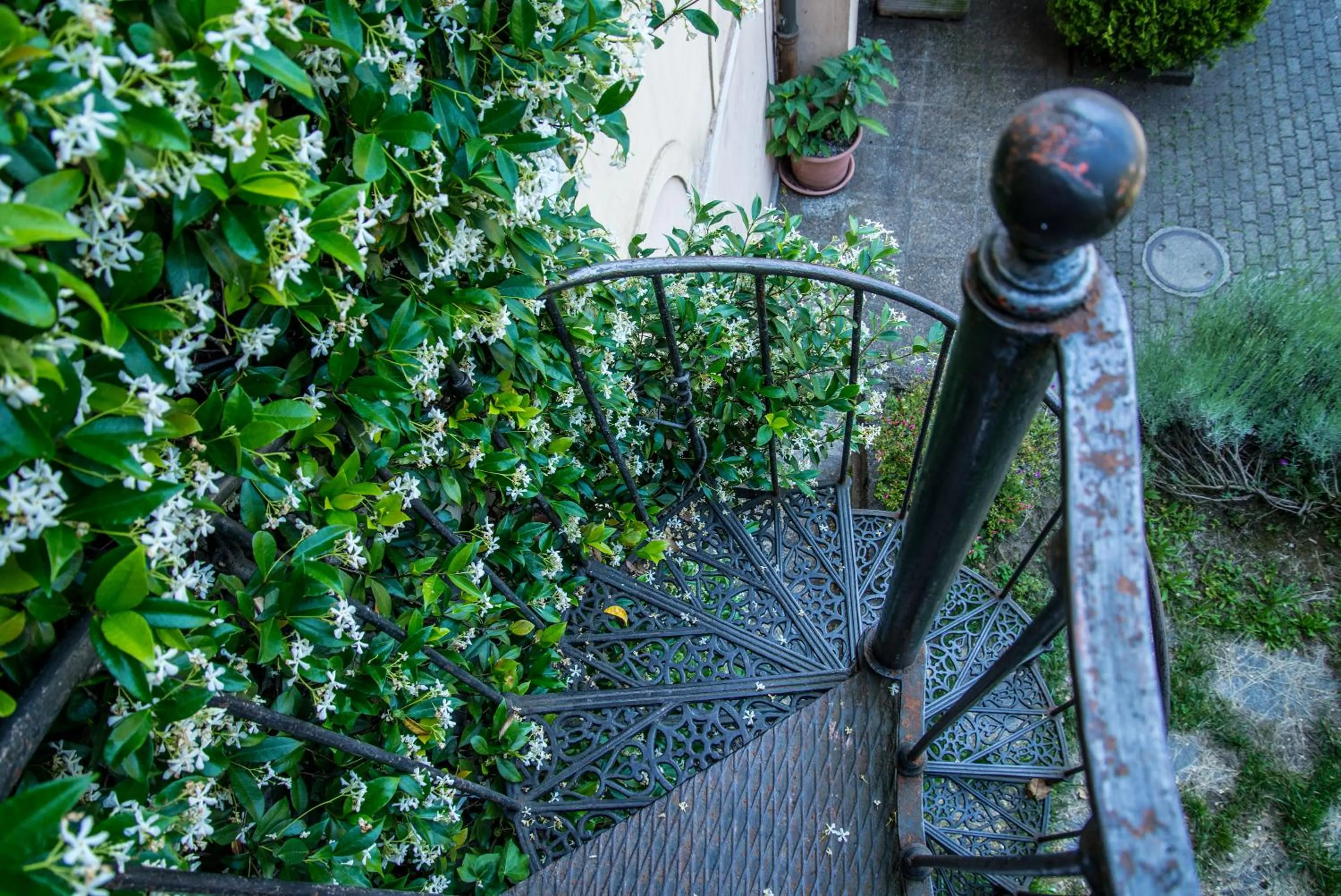 Garden in Ostello Montebello - Bellinzona Youth Hostel