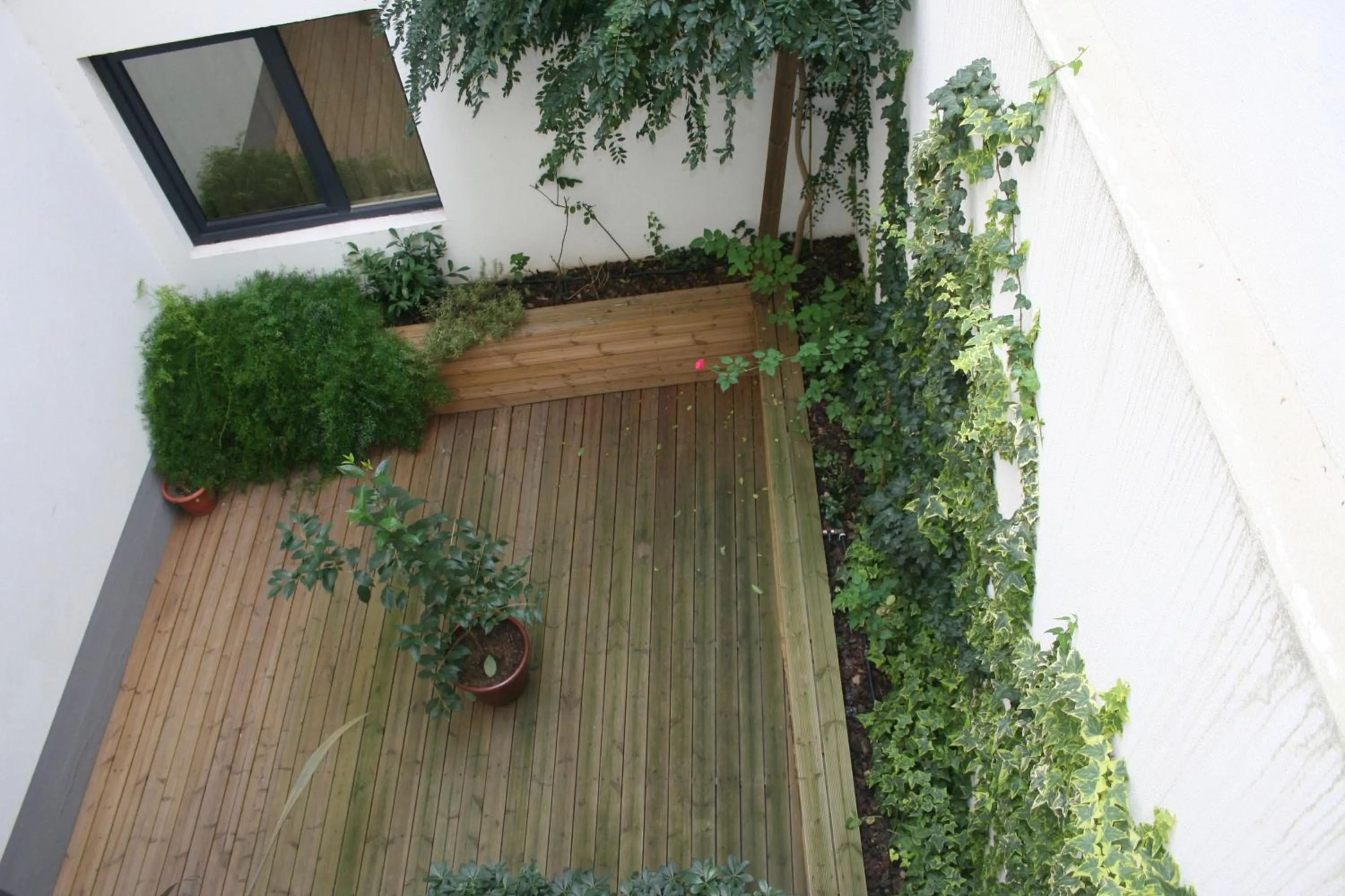 Garden view in Rossio Hotel