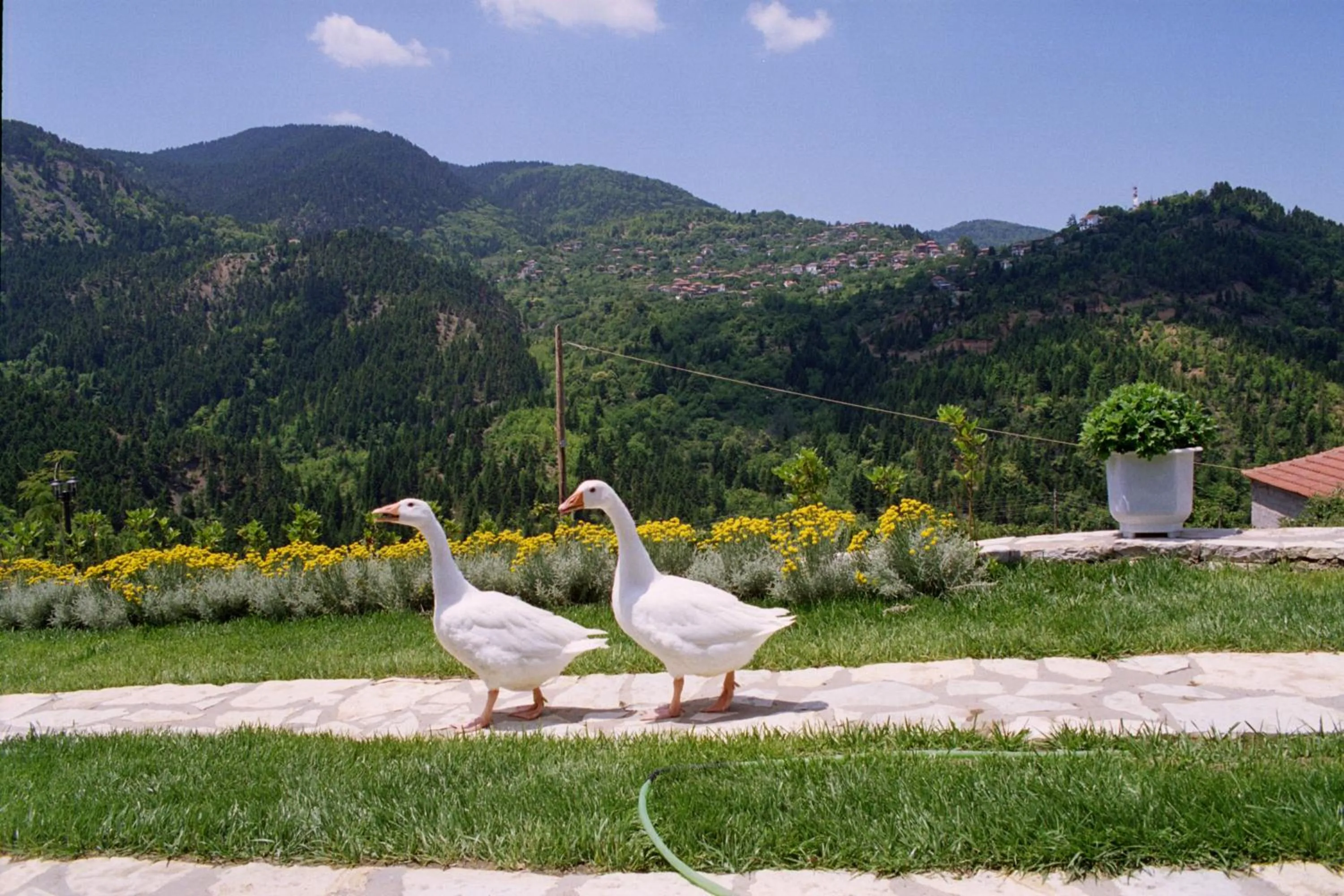 Spring in Xenios Chalet